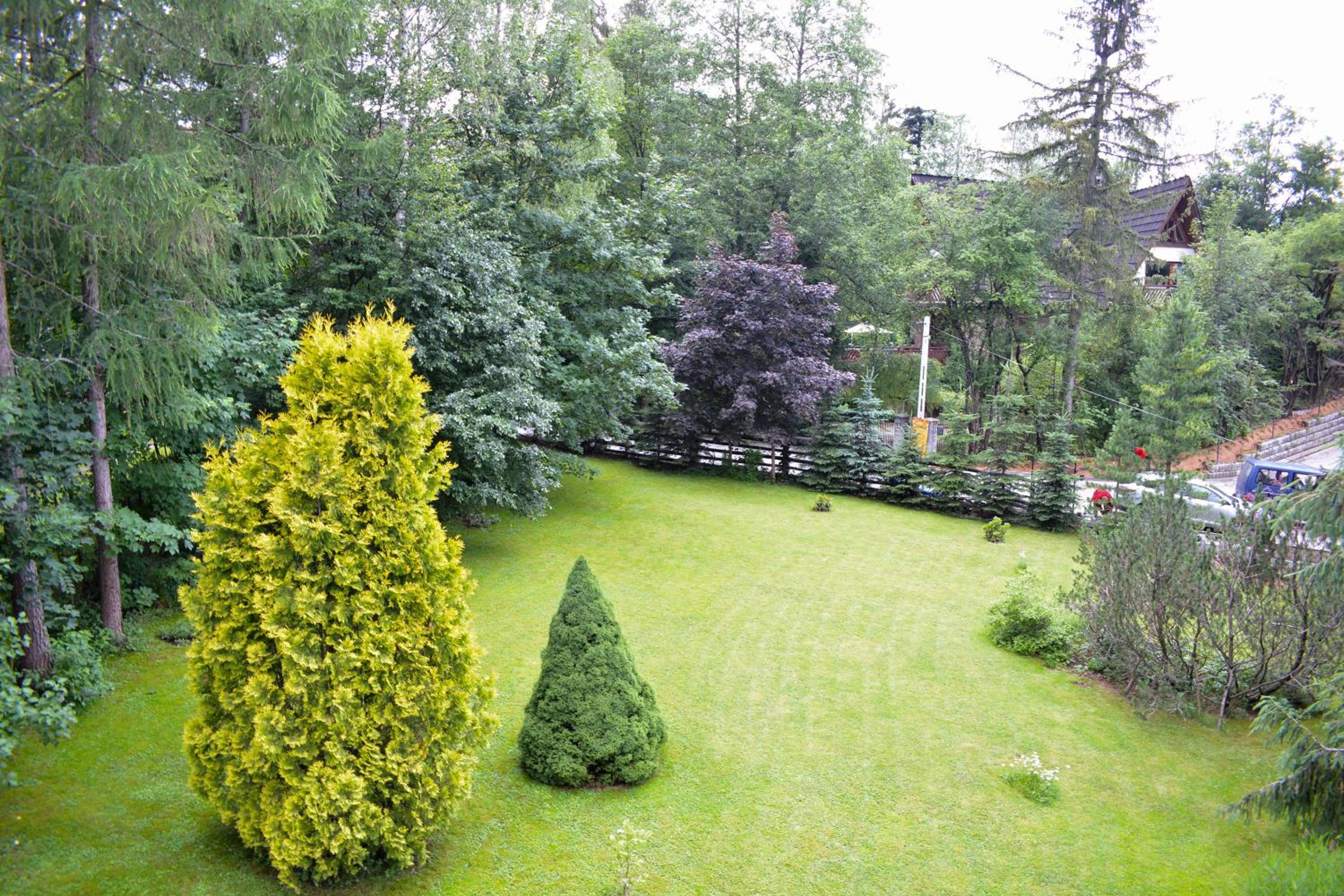 Photo 57