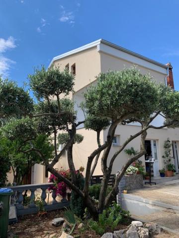 Taverna coctel view 4