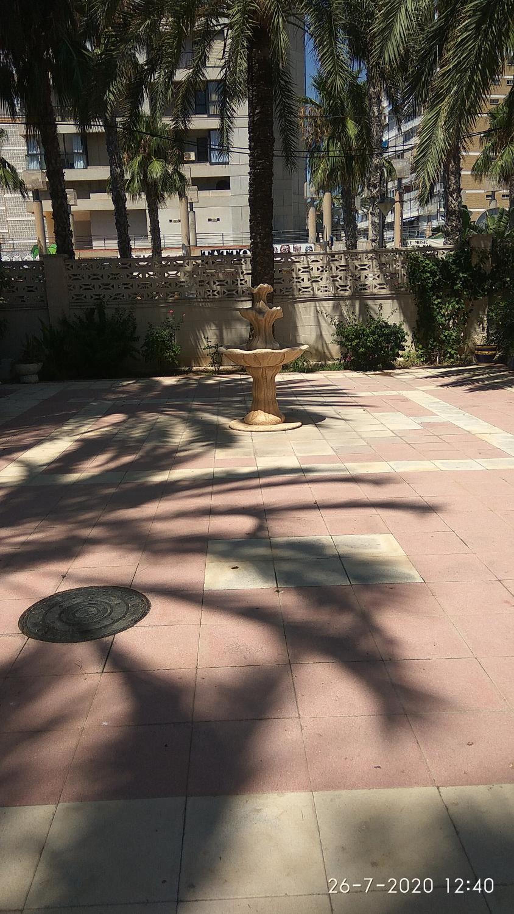 Photo 12