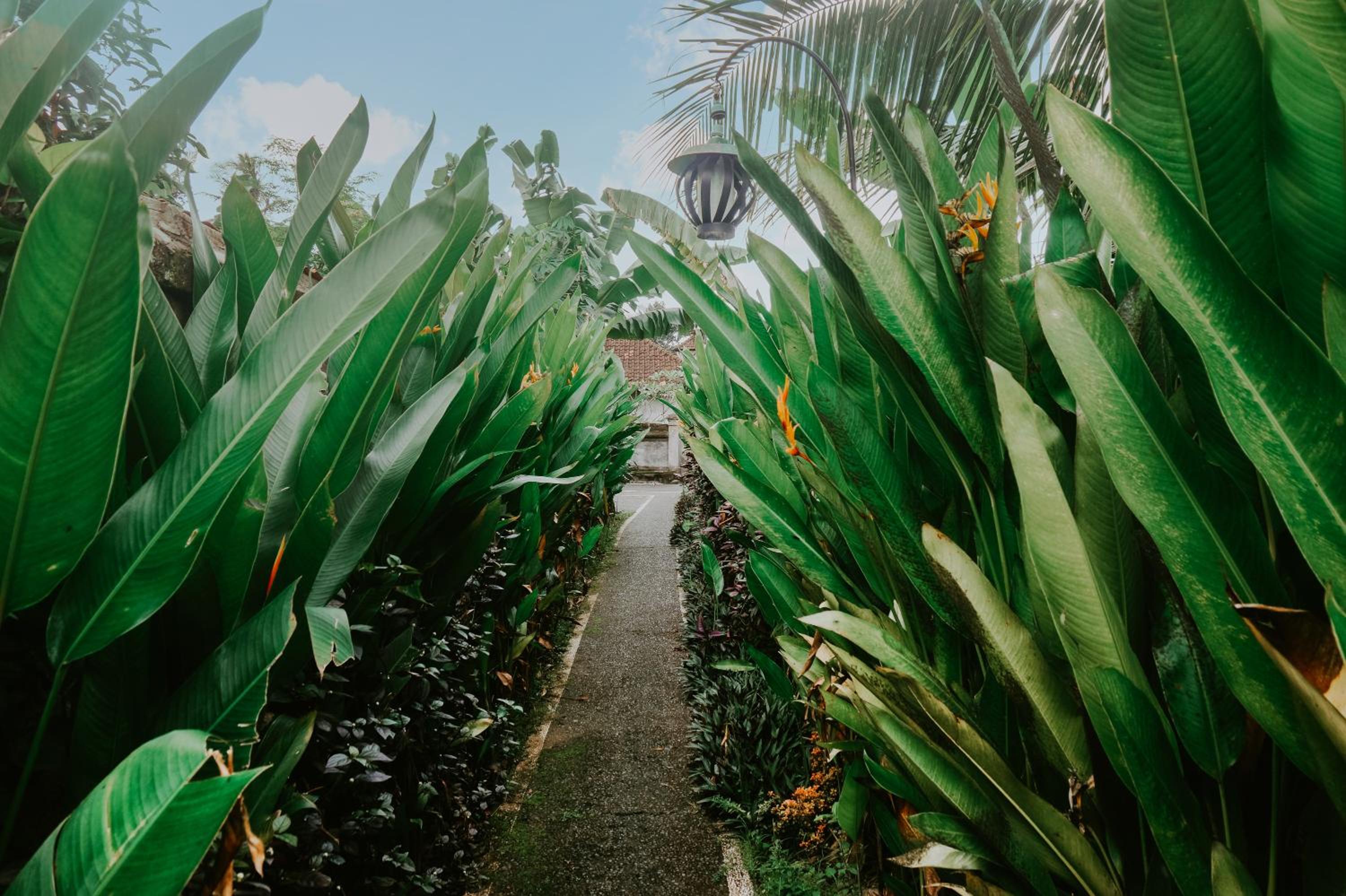 Anggira Villa Ubud