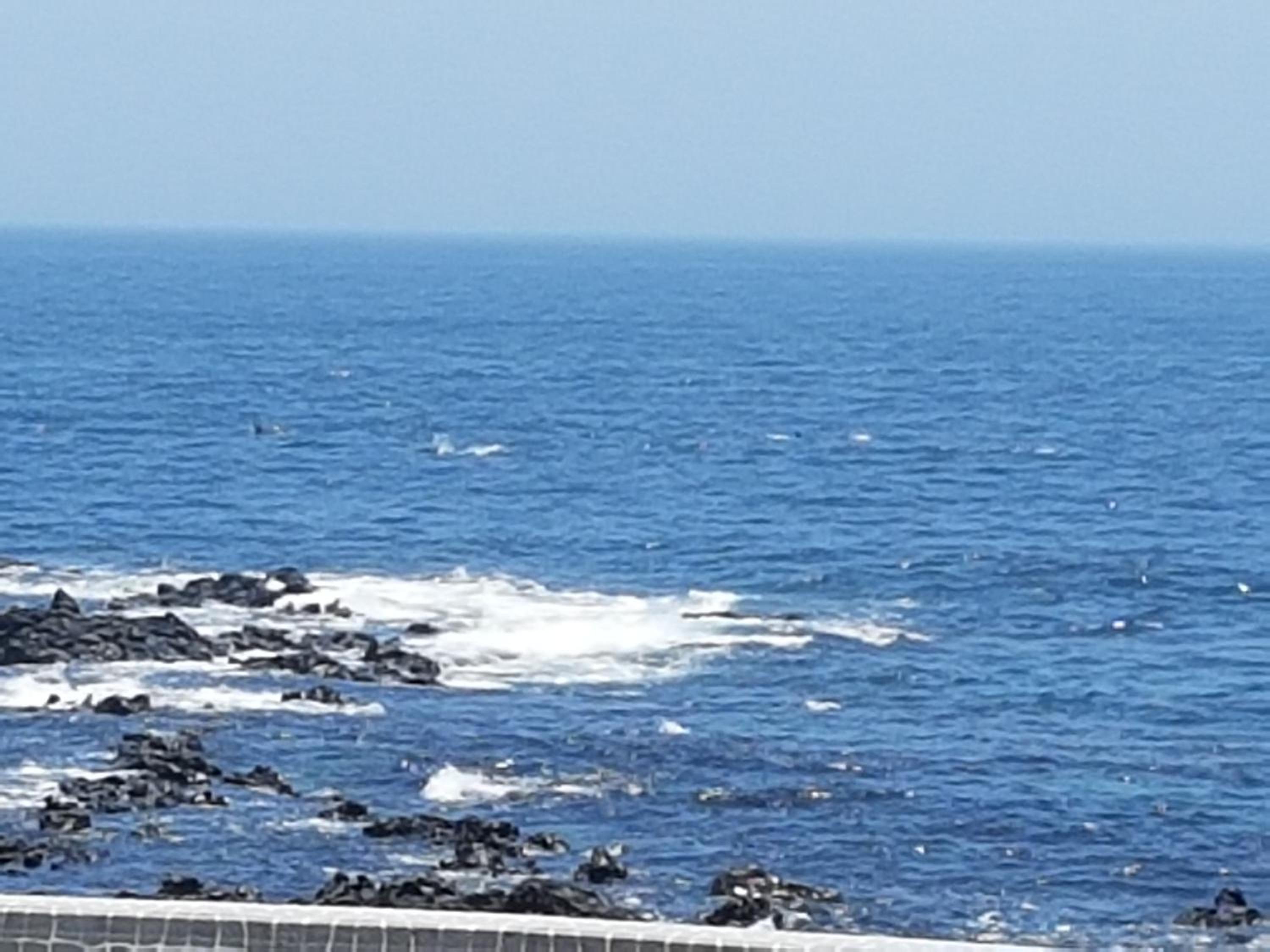 JEJU Amoje