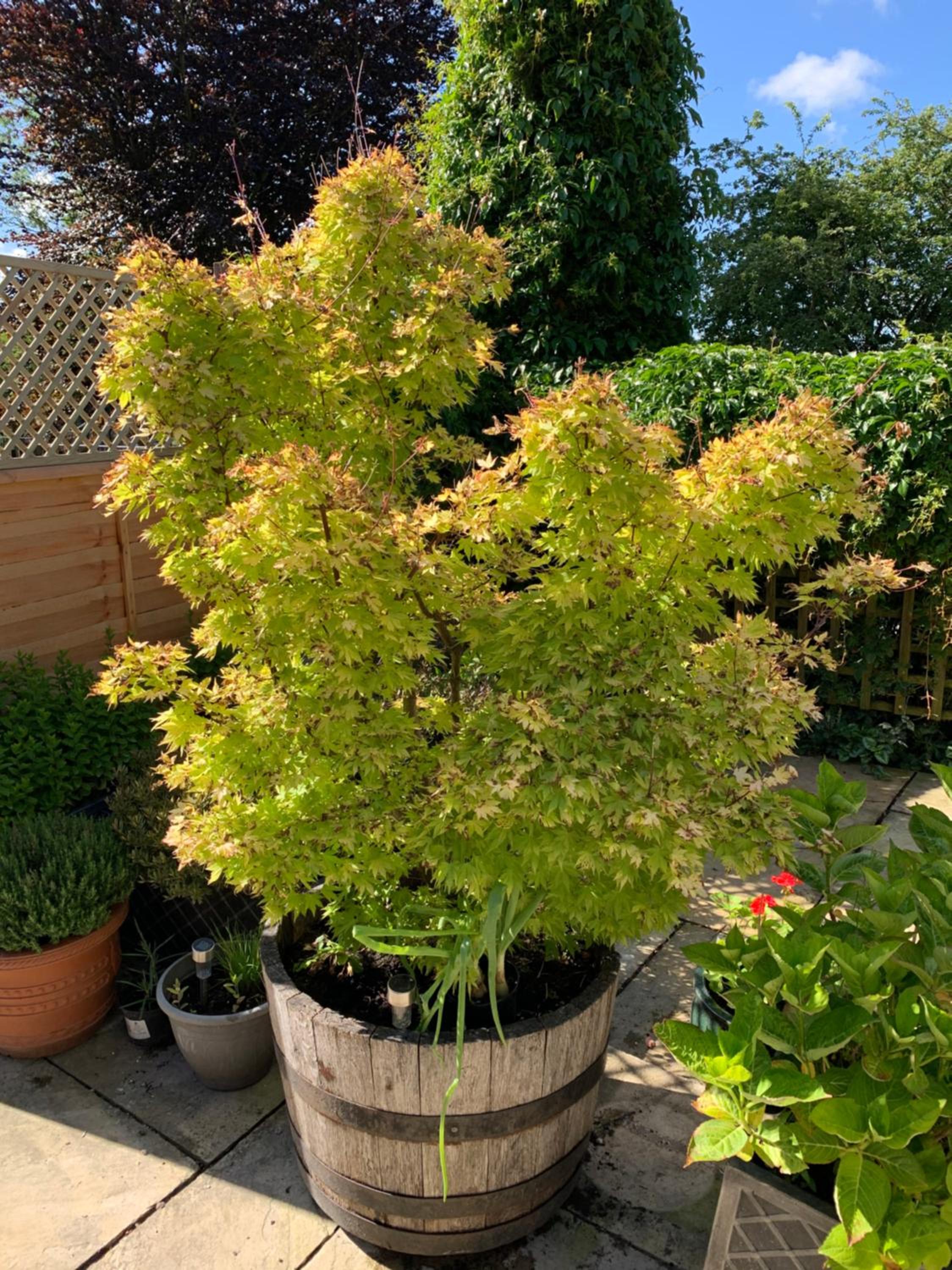Photo 20