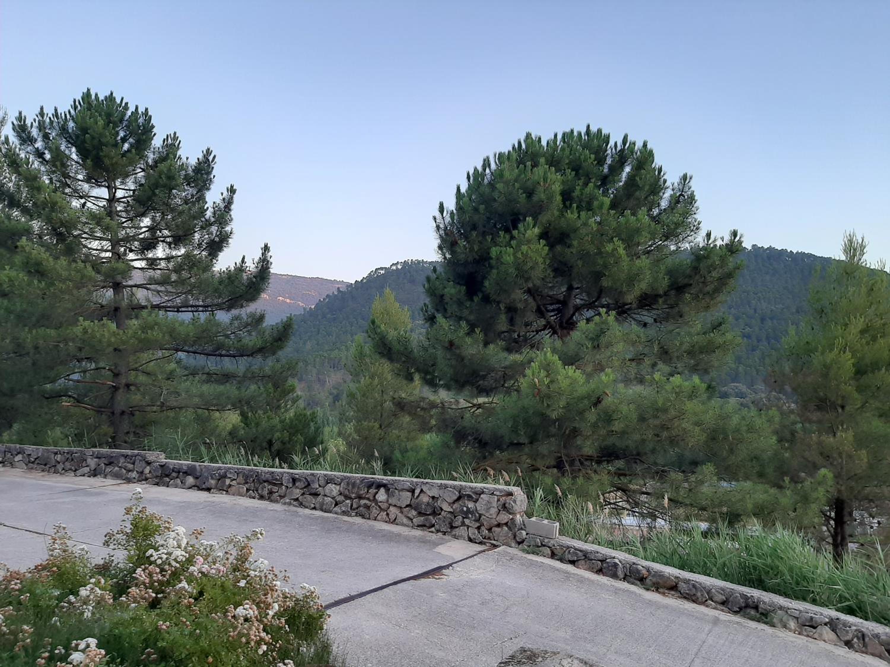 Photo 34