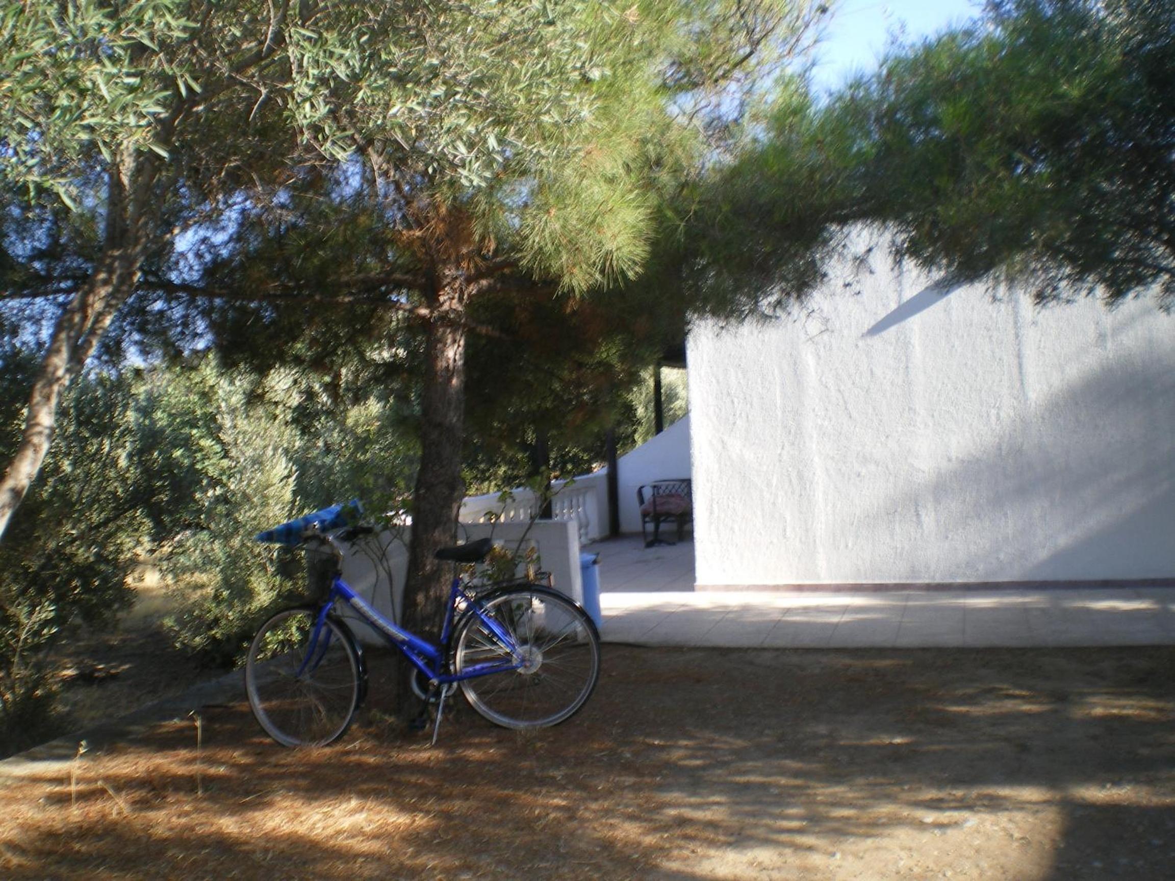 Photo 28