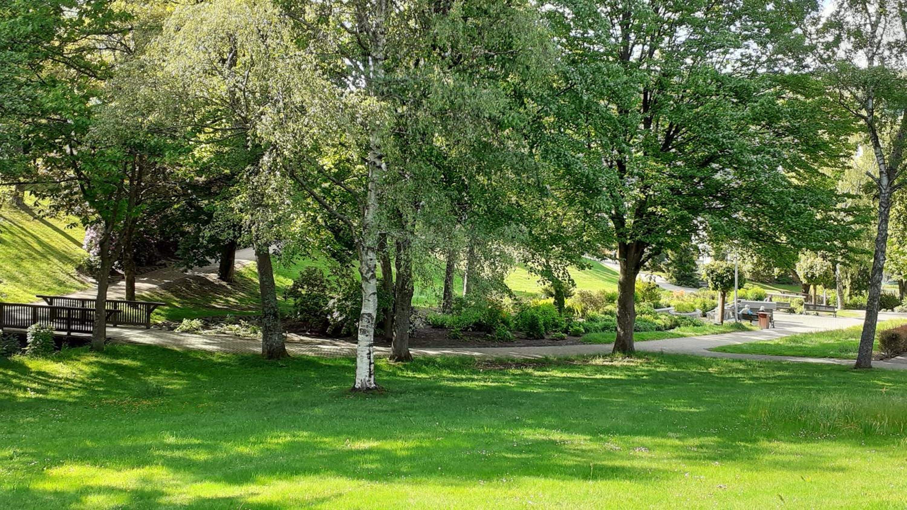 Photo 6