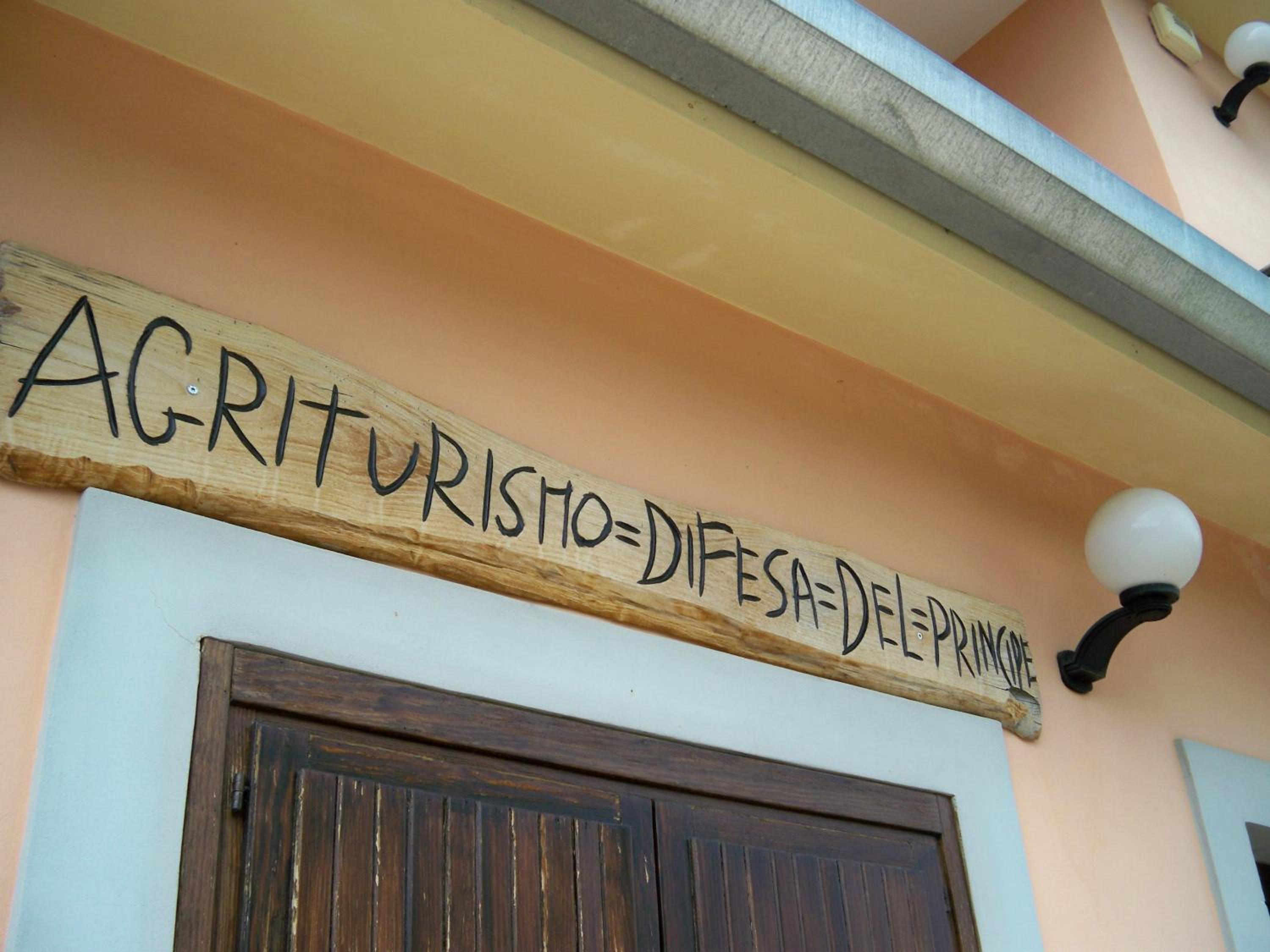 Photo 46
