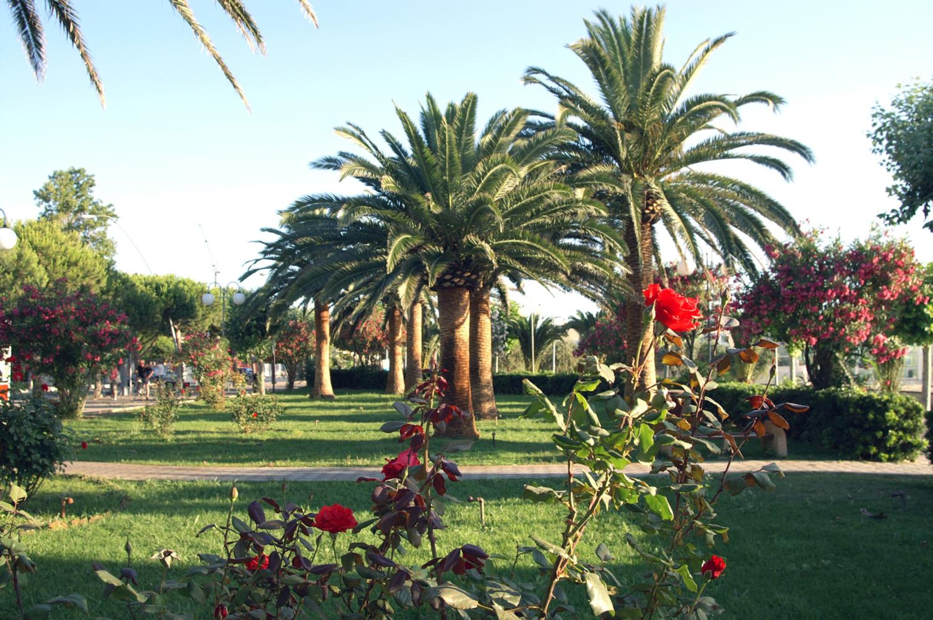 Residence Helene photo 5