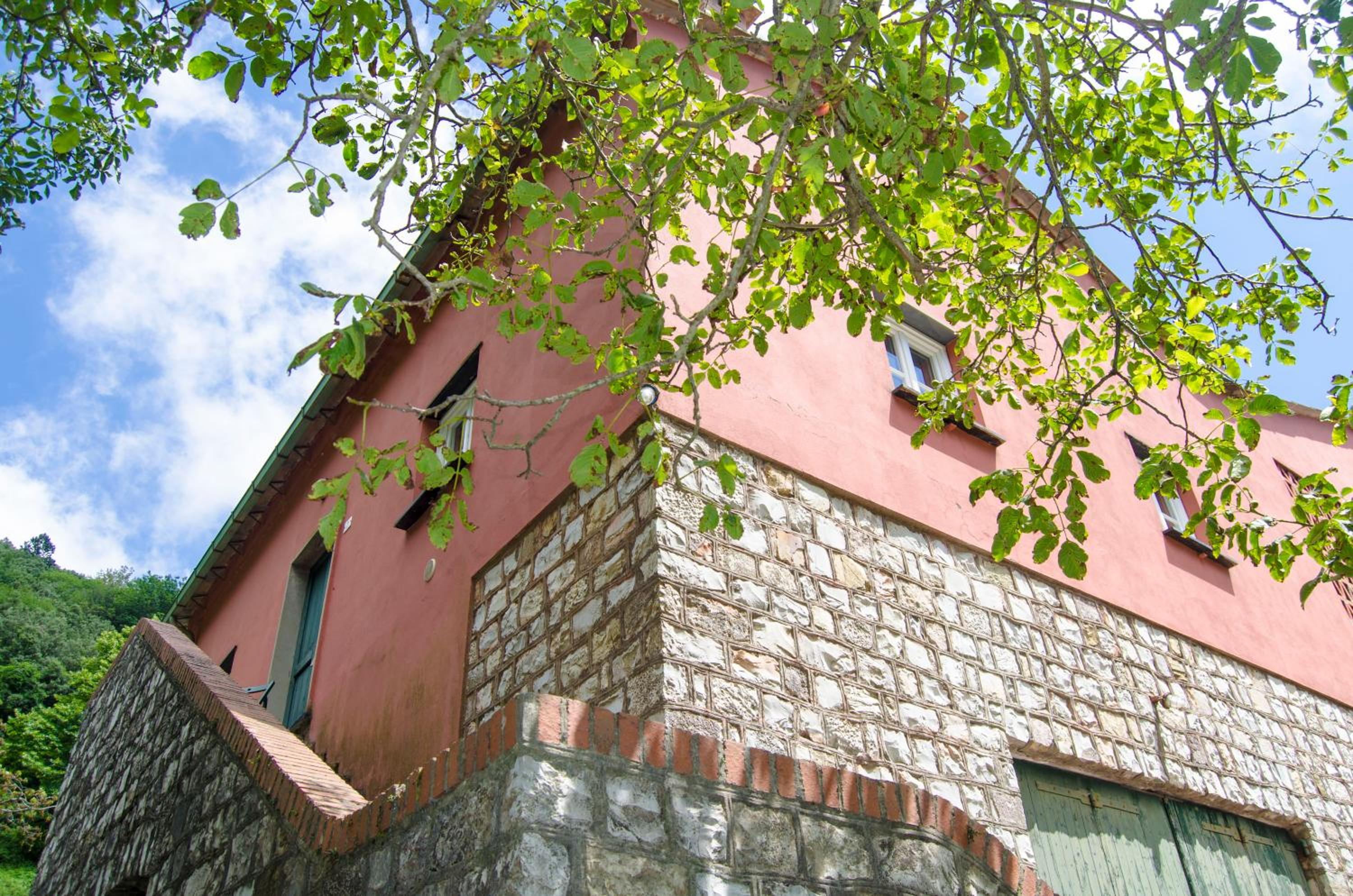 Agriturismo Monte Pu' view 5