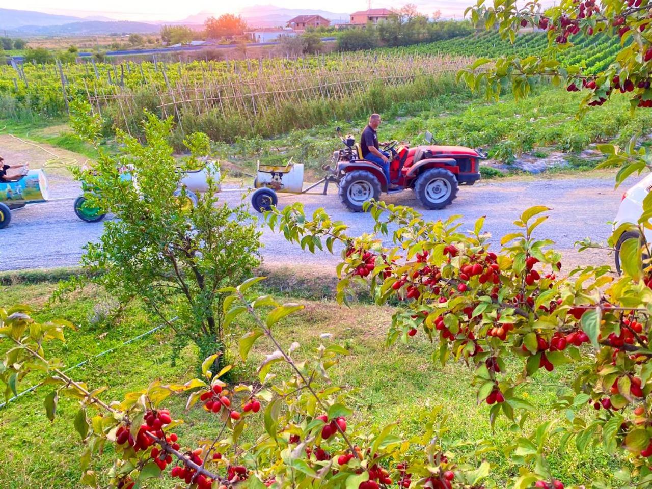 Mrizi i Zanave Agroturizëm