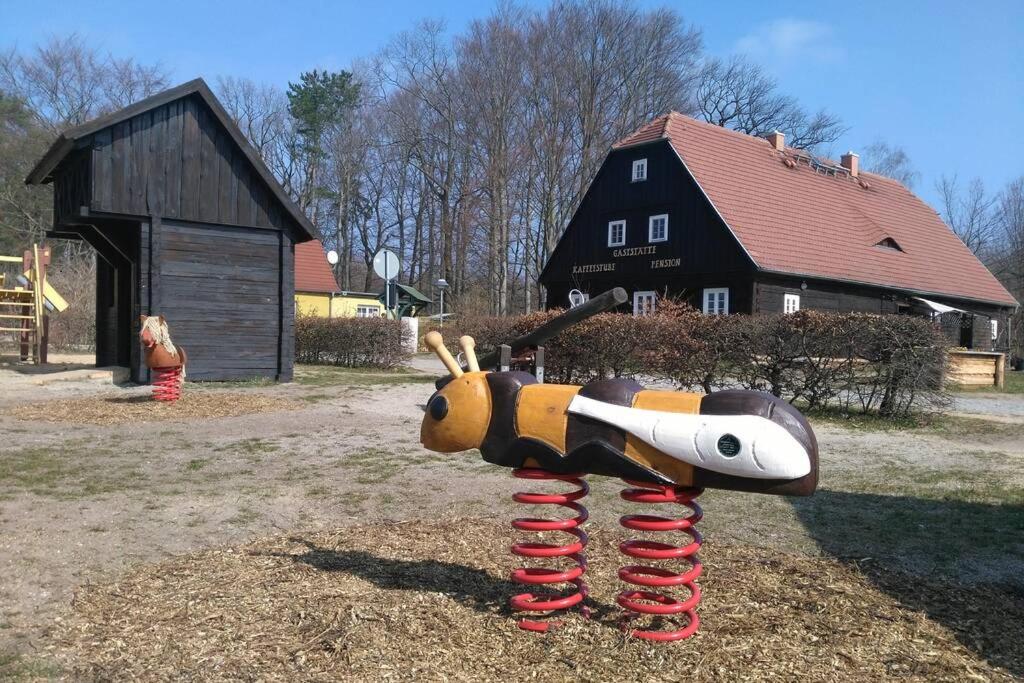 Rietschen, Natur erleben