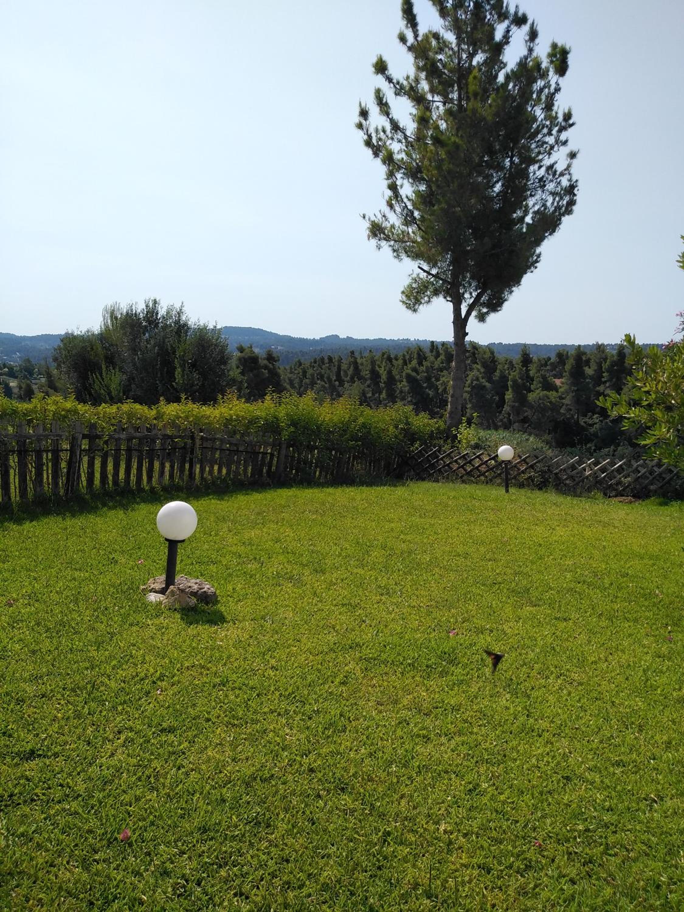 Photo 52
