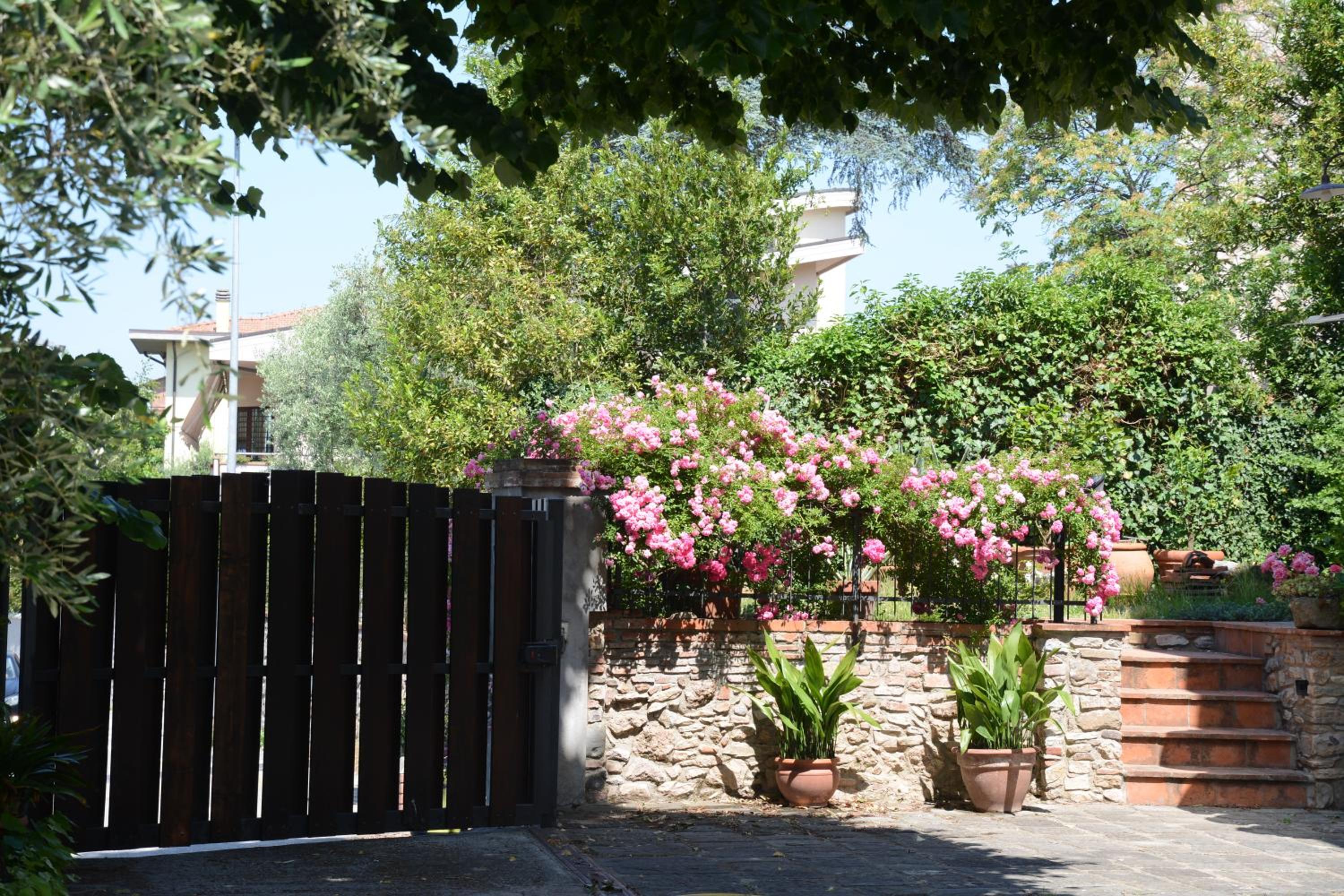 Casa1 view 4