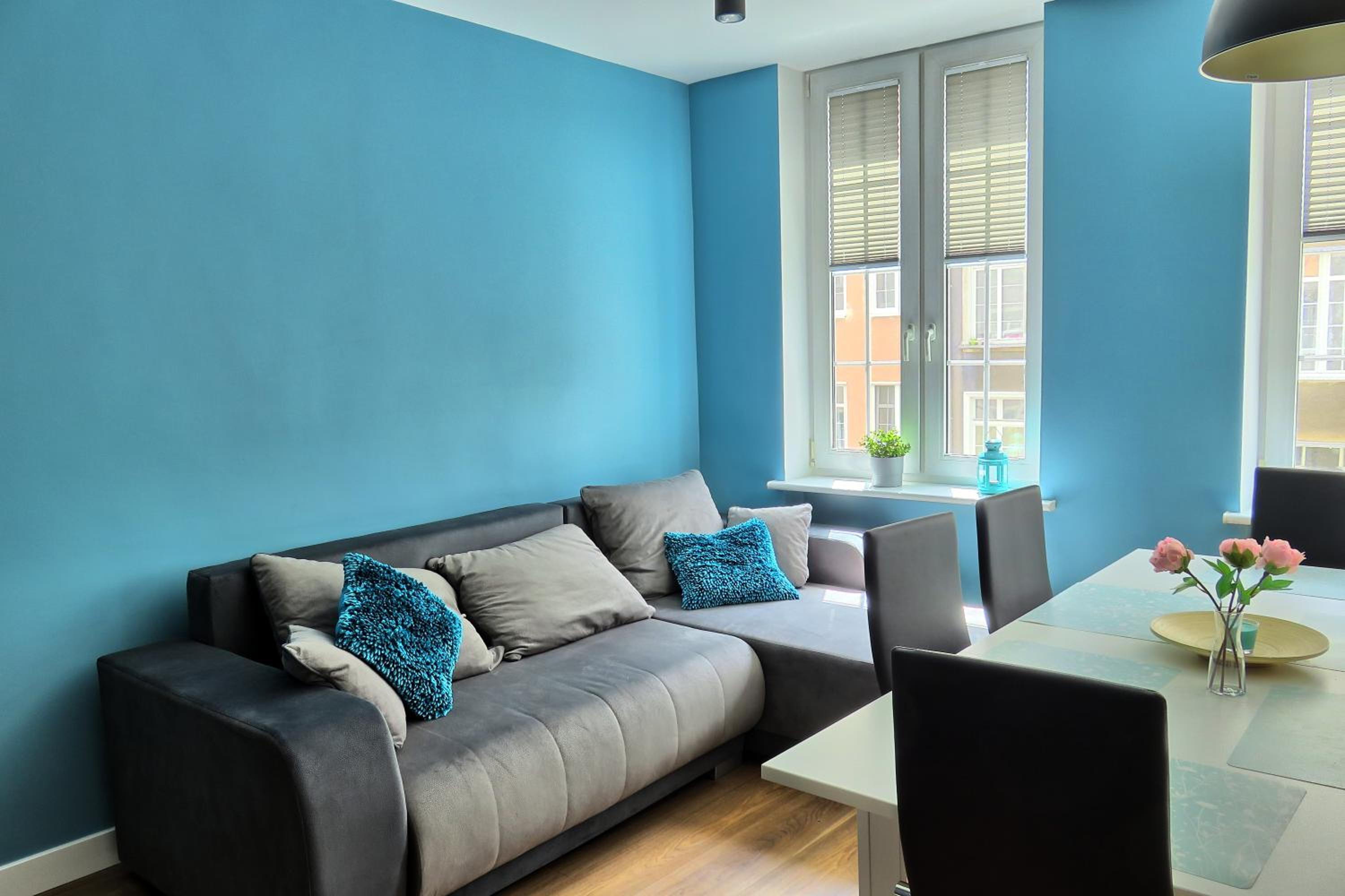 Elżbieta Apartament view 5