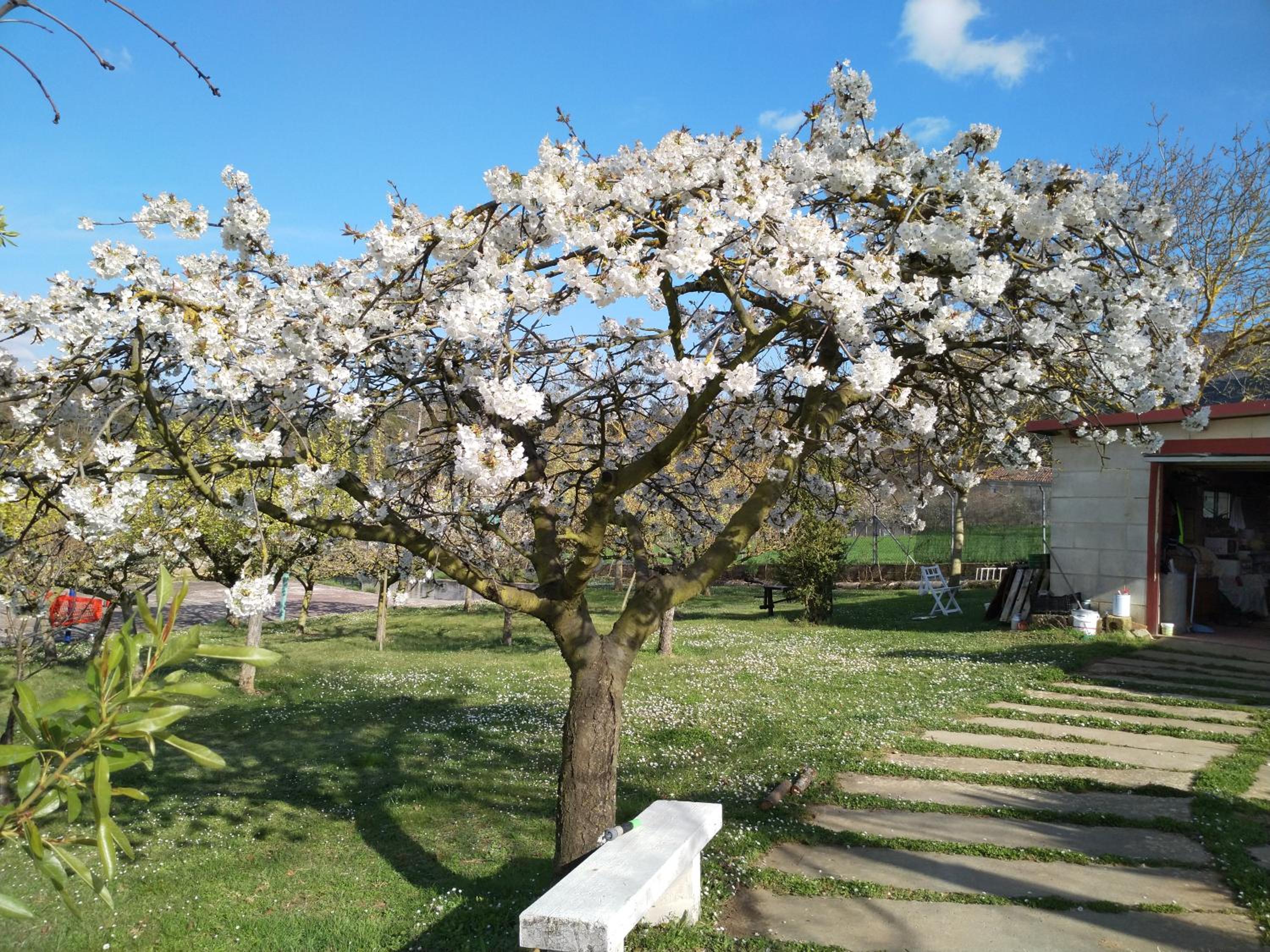 Casa - Chalet Madera Canadiense photo 5