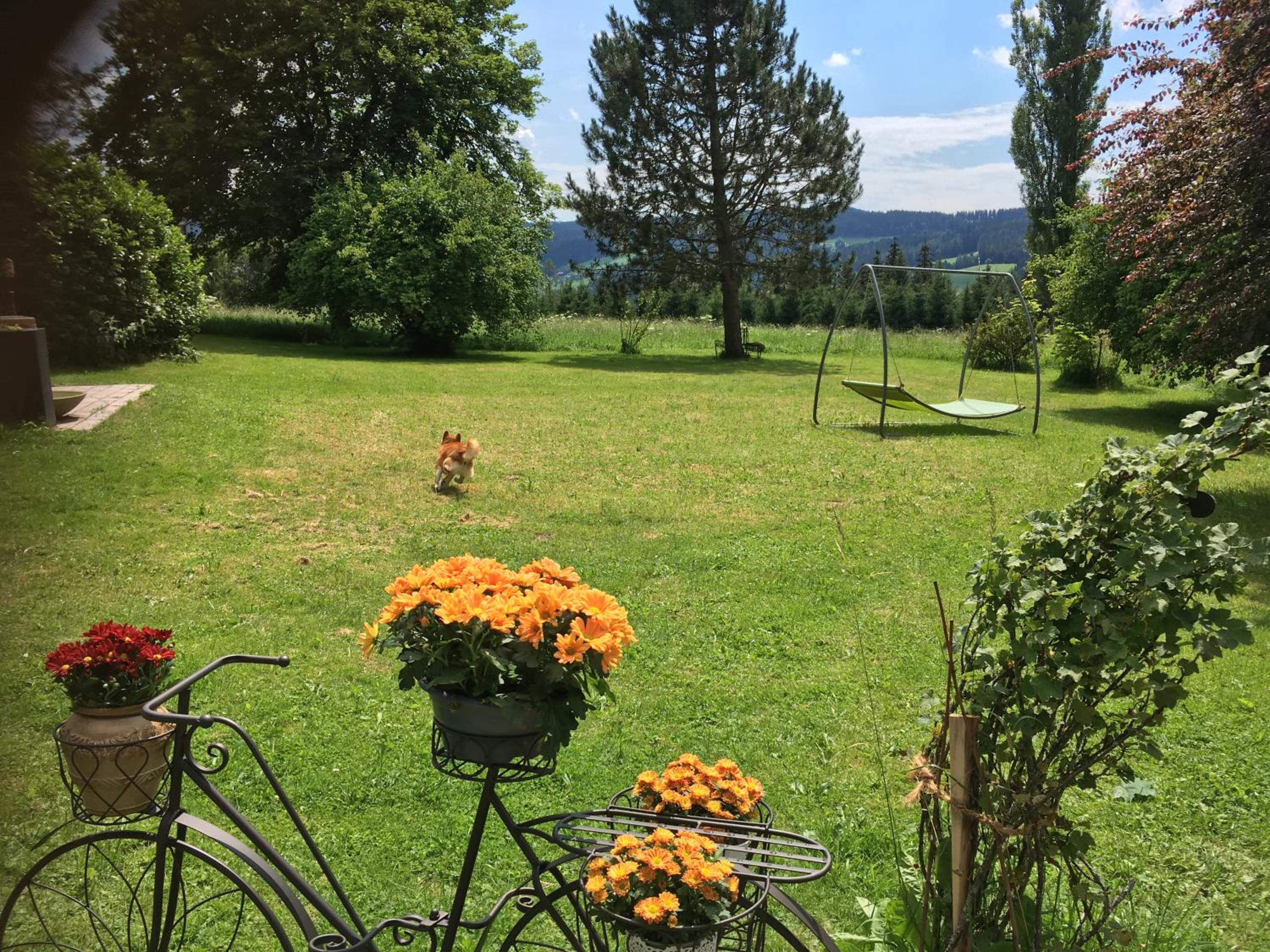 Naturforsthaus Ferienwohnung für Hunde- und tierverbundene Menschen
