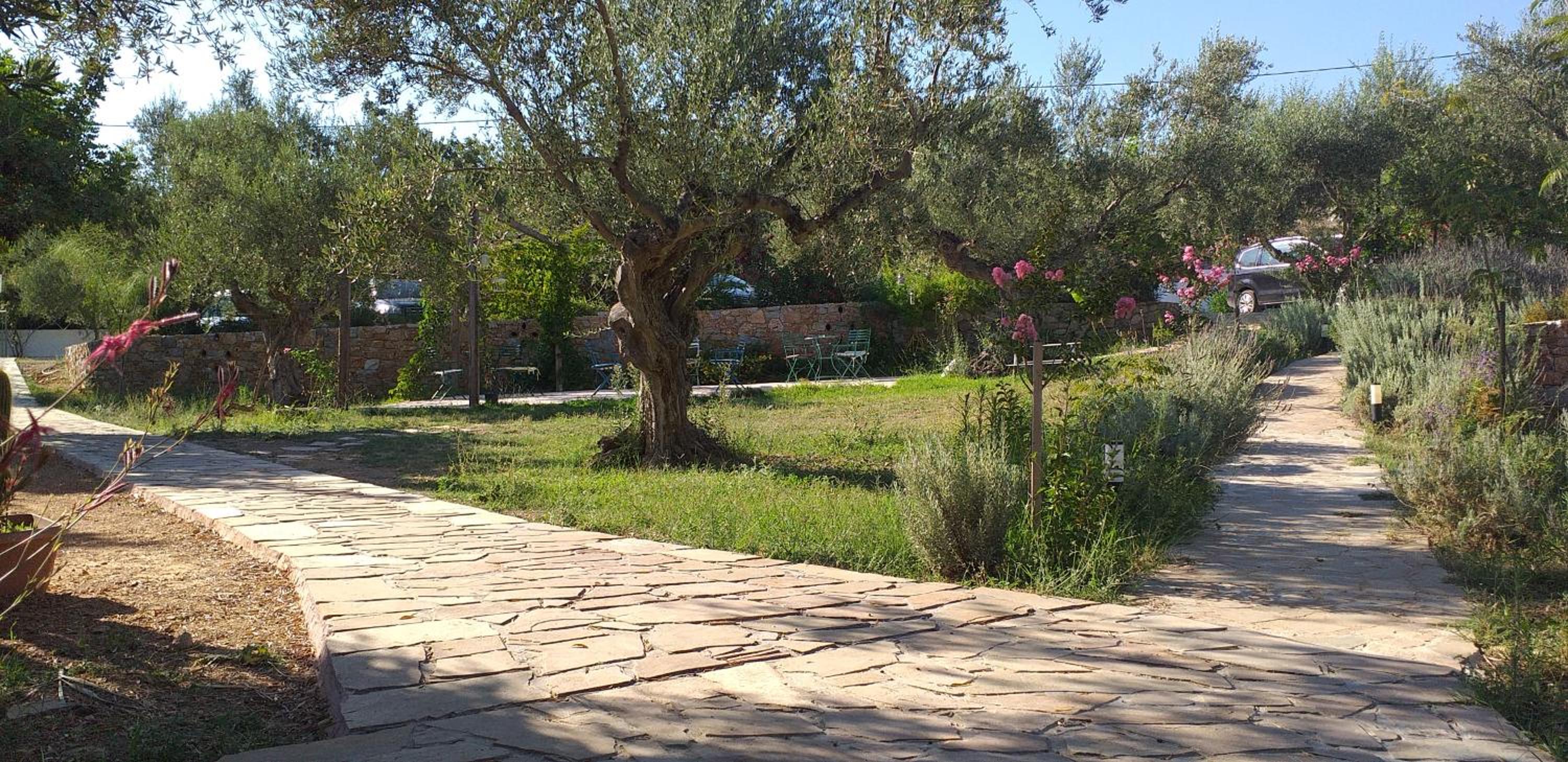 Kavoulakos Studios view 2