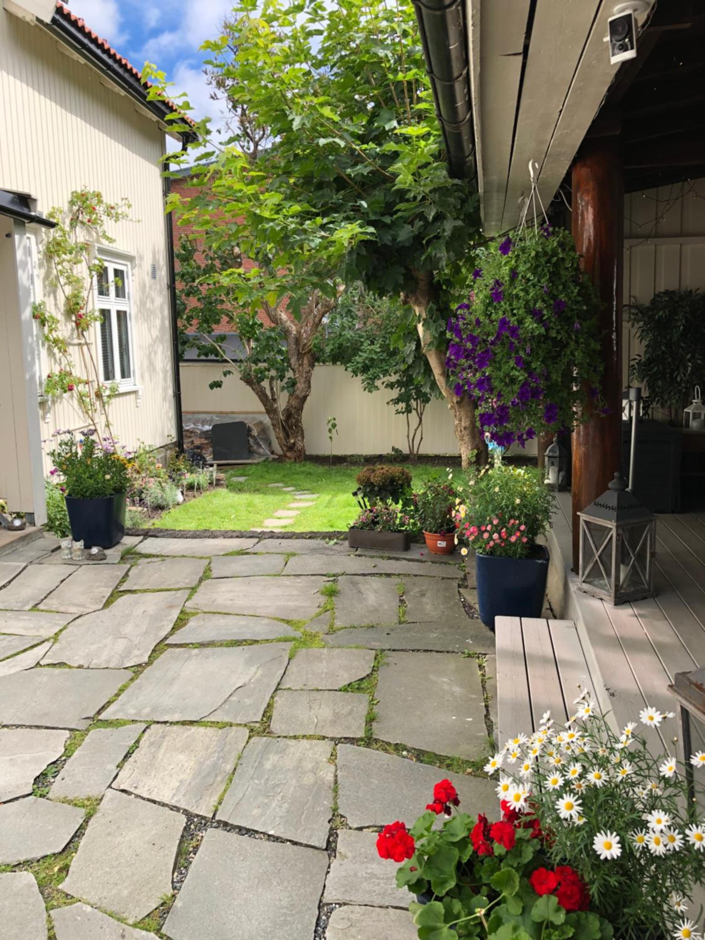 Photo 7