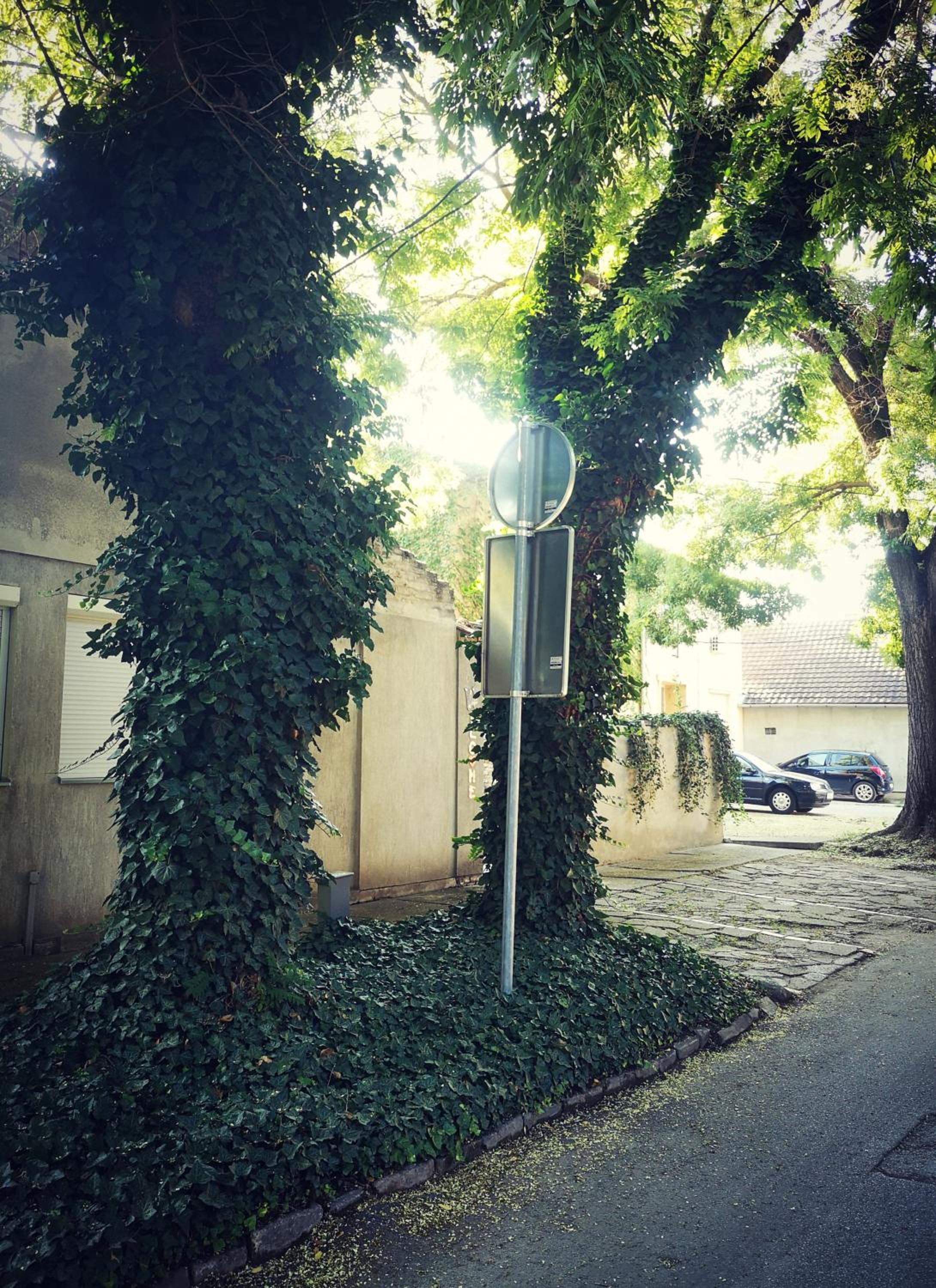 Centar view 4