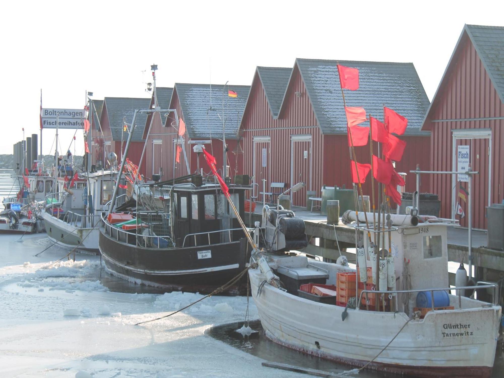 Photo 41