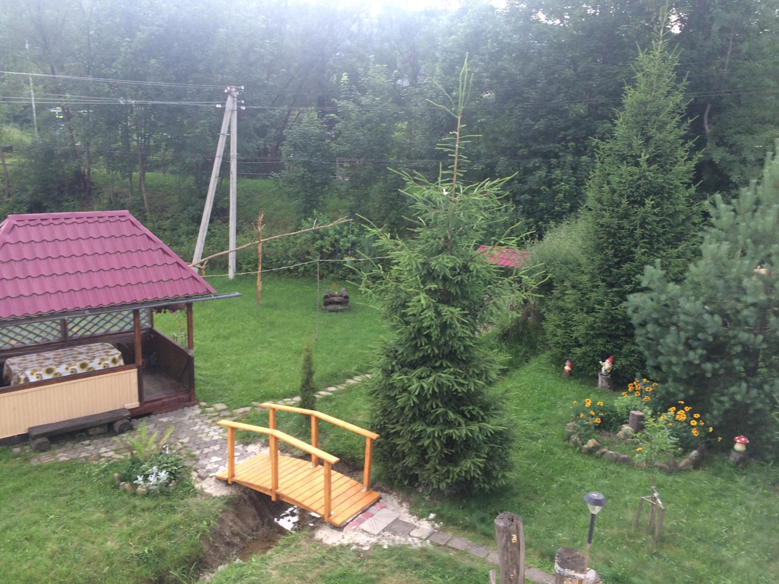 Photo 7