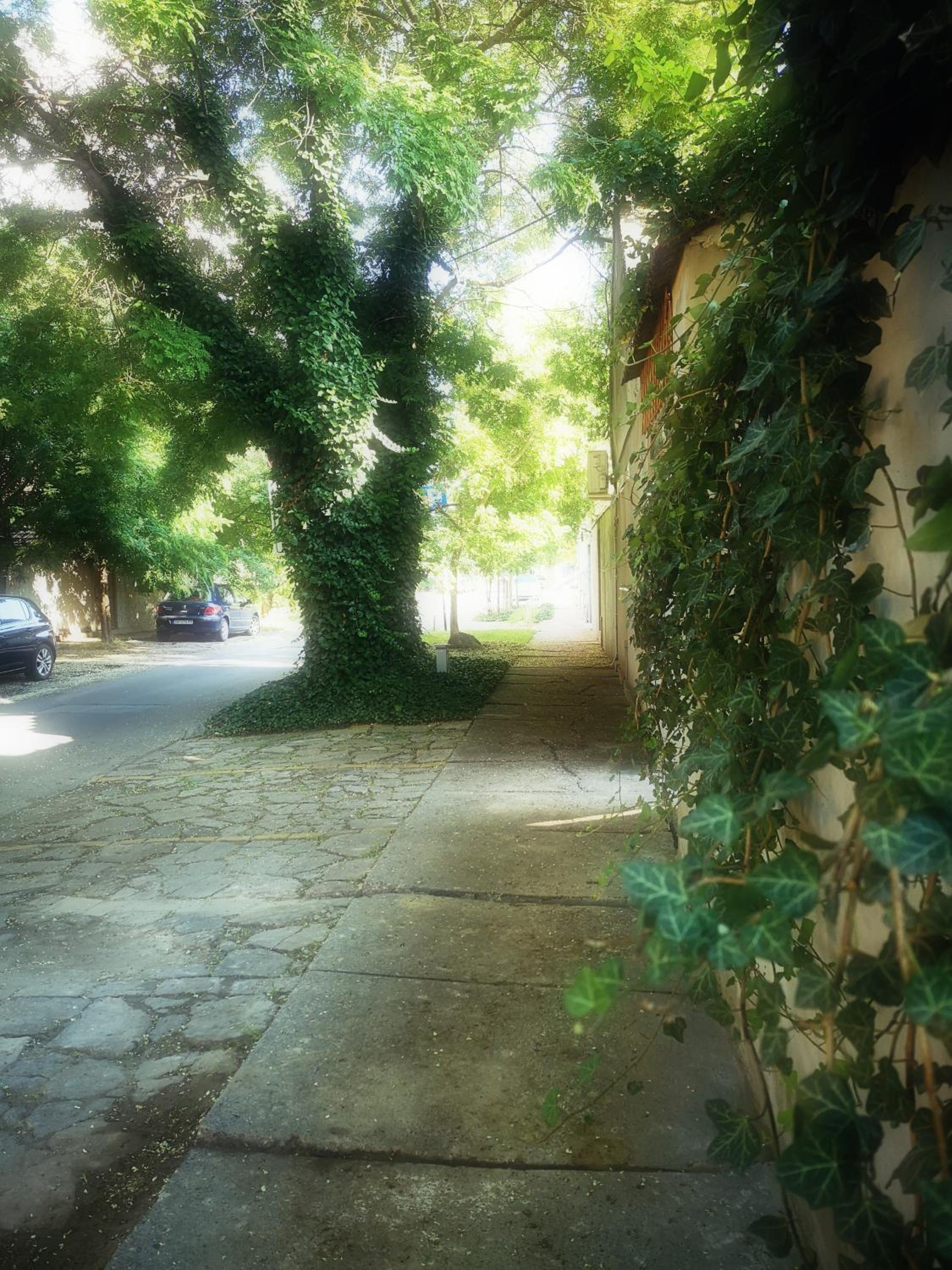 Centar view 3
