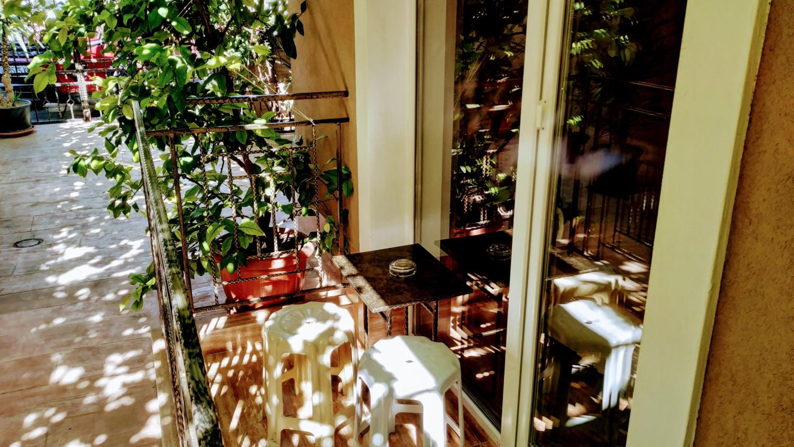 Dracena Guesthouse