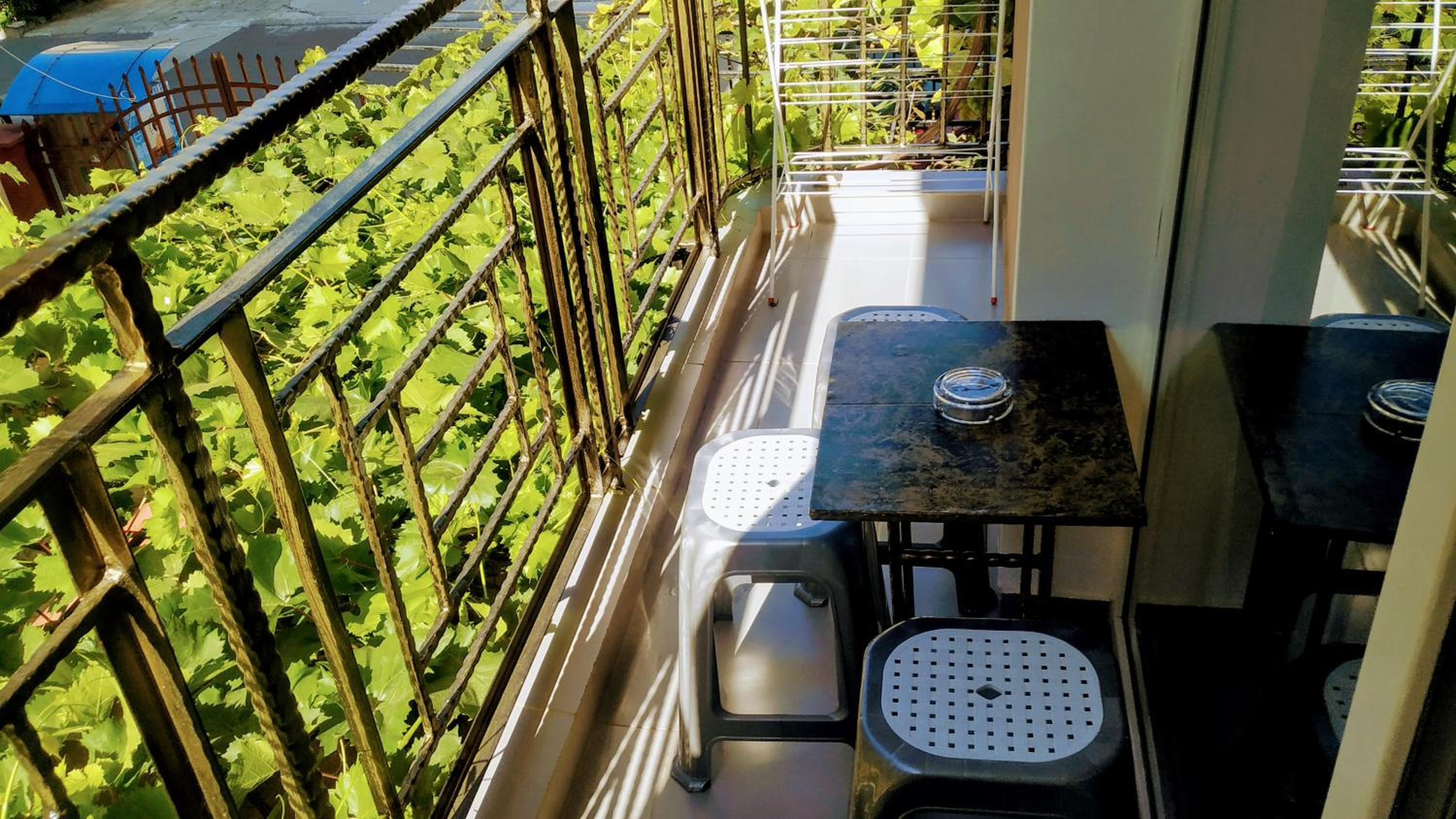 Dracena Guesthouse