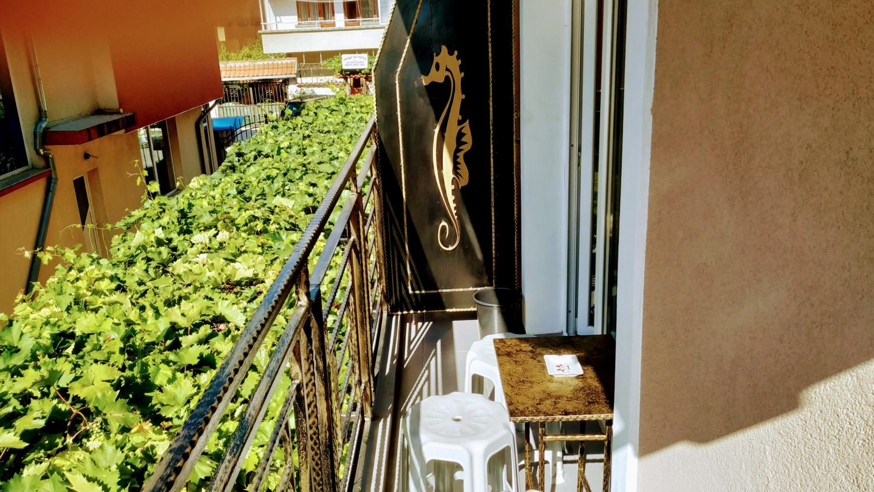Dracena Guesthouse