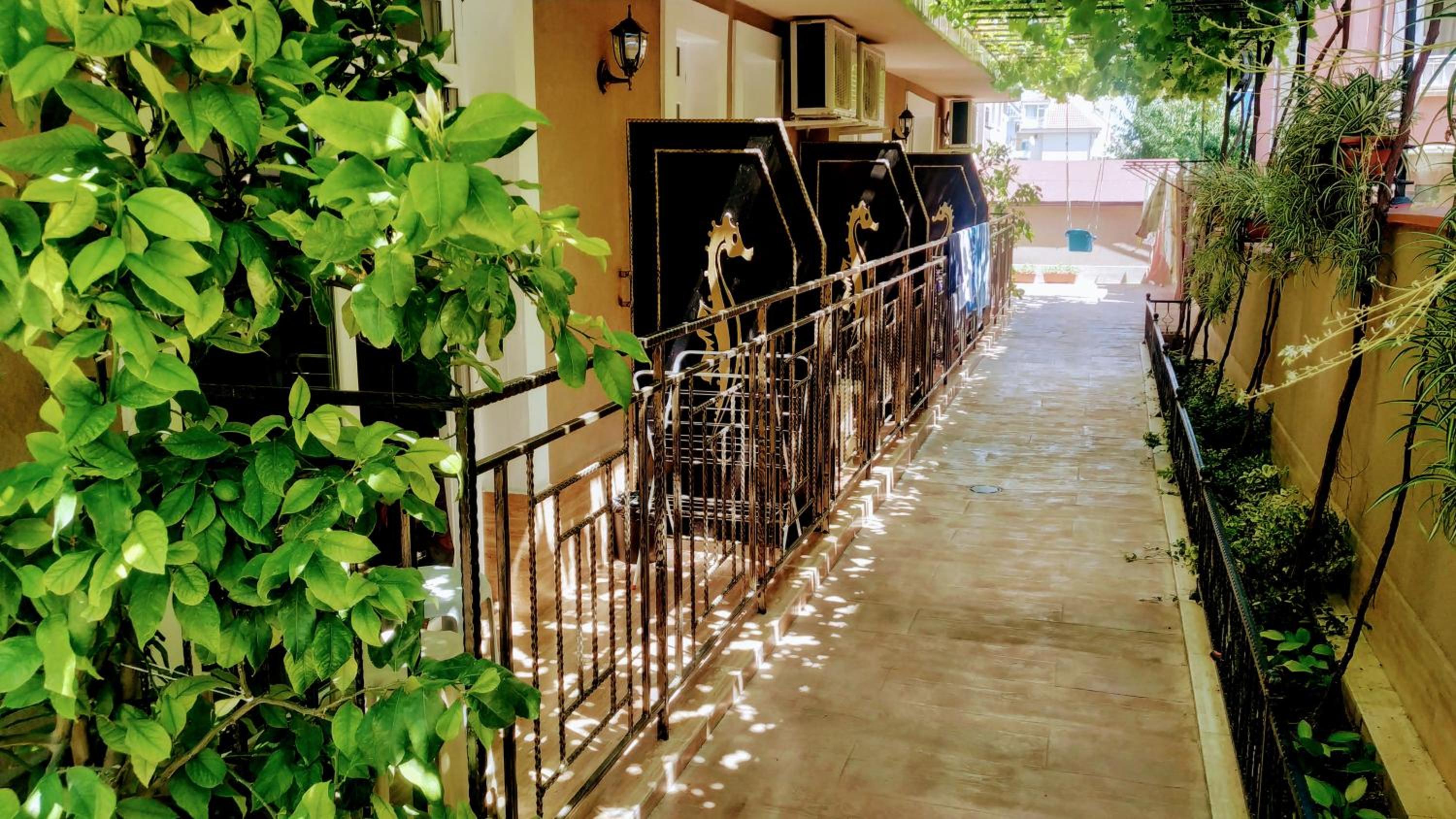 Dracena Guesthouse