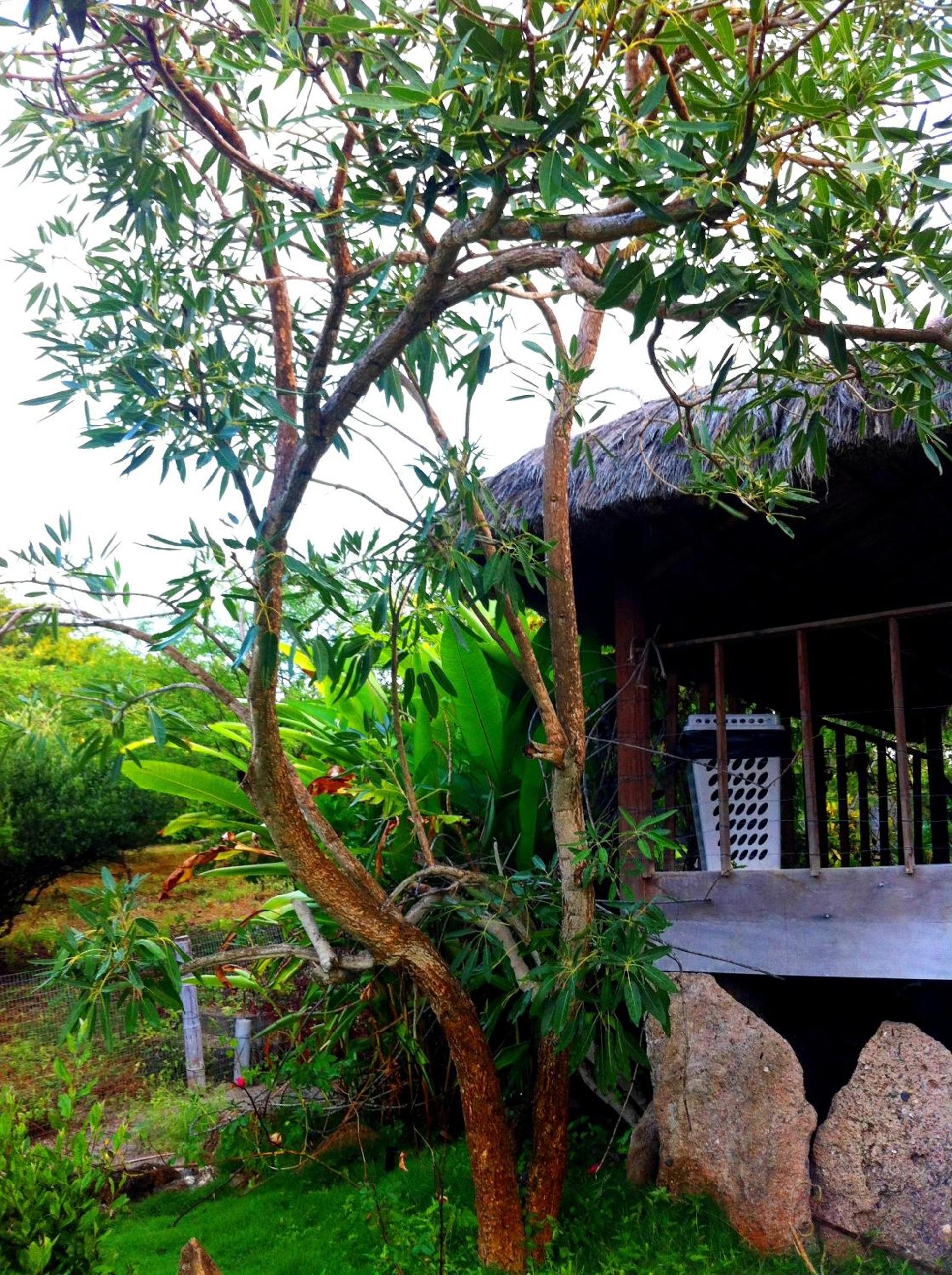 Muyuyo Lodge
