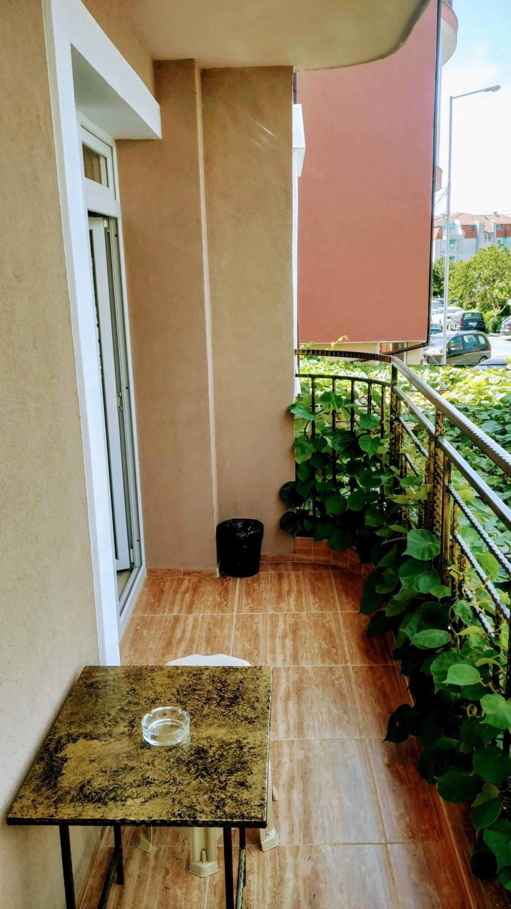 Dracena Guesthouse