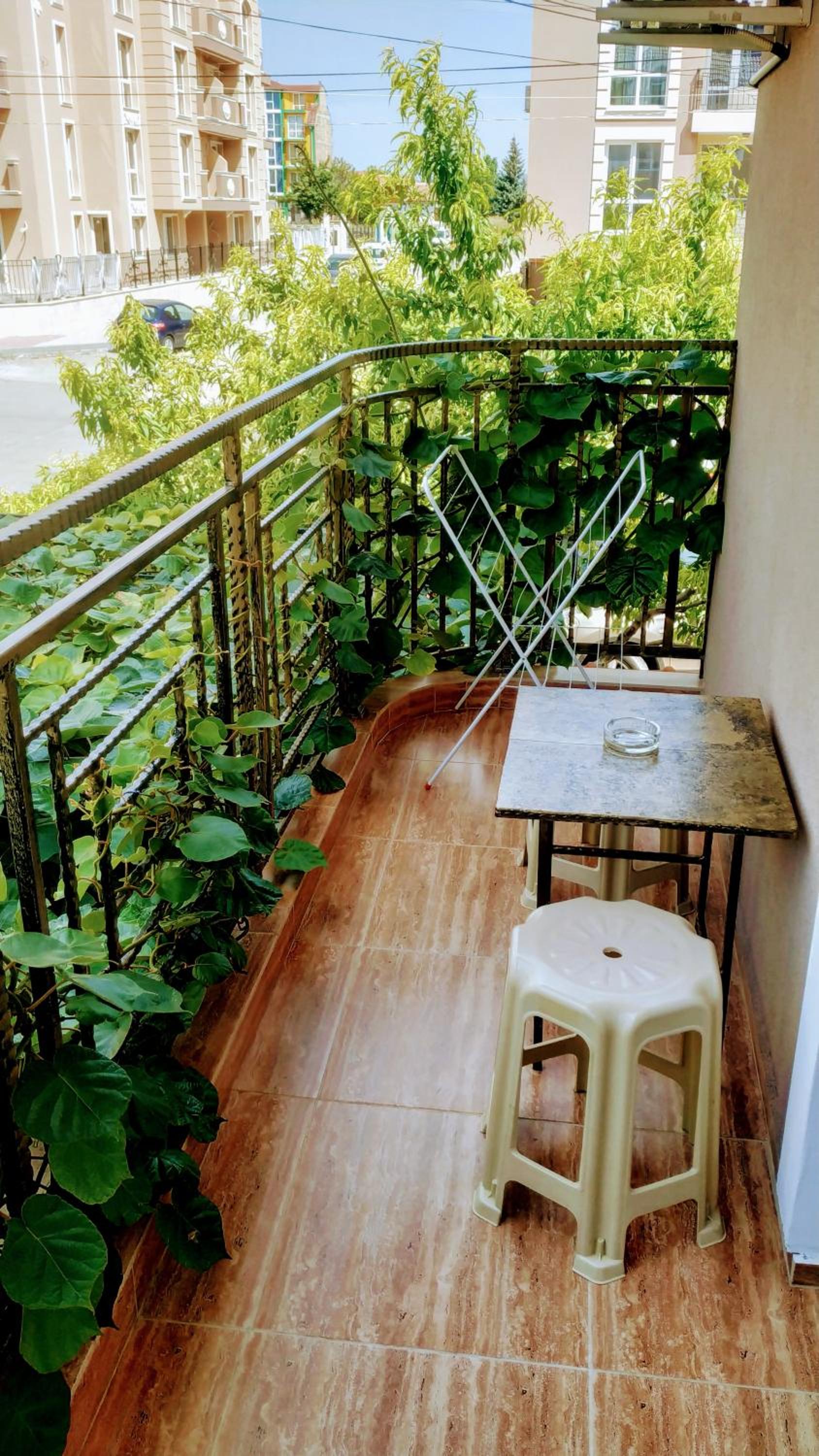 Dracena Guesthouse