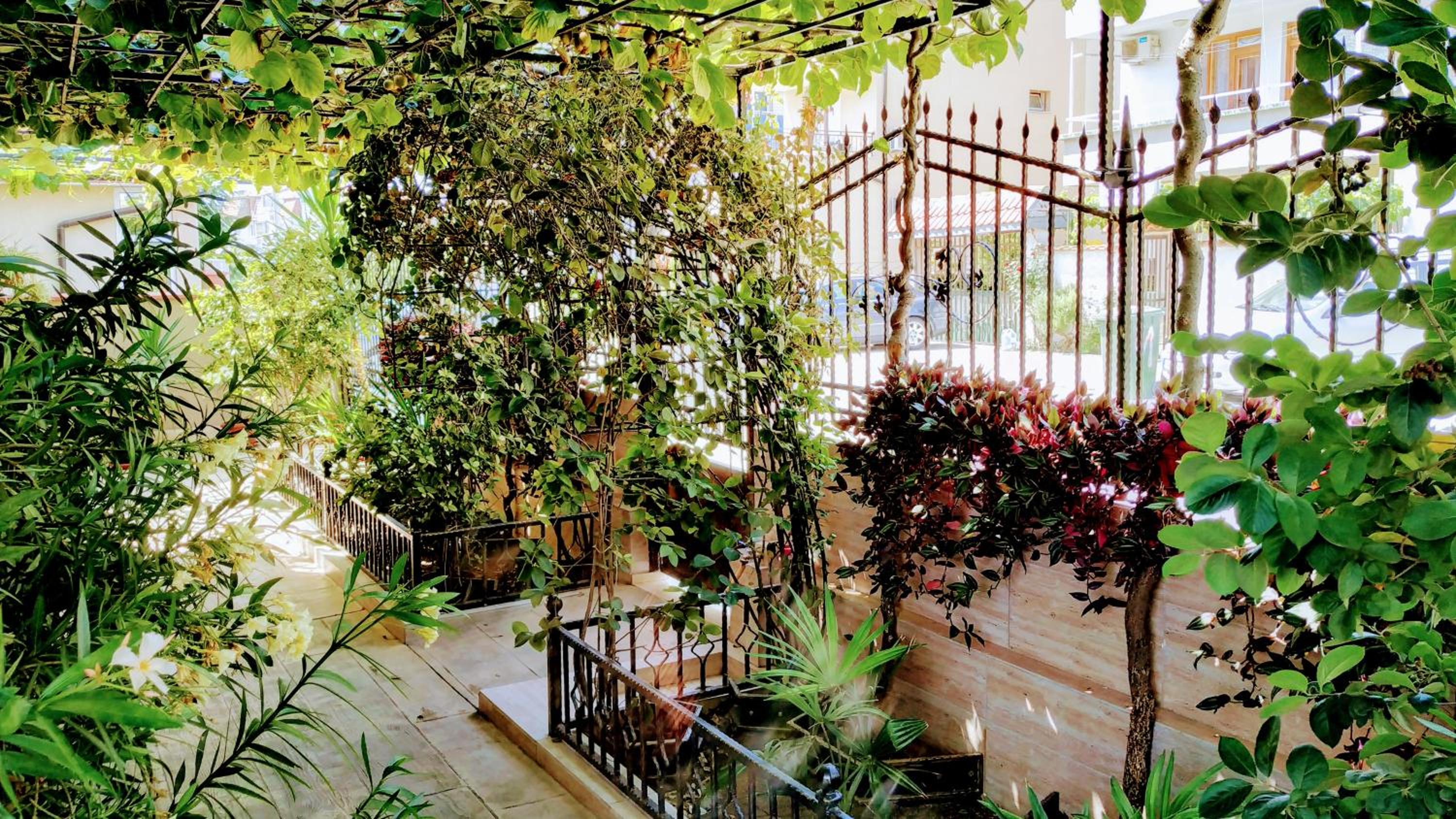 Dracena Guesthouse