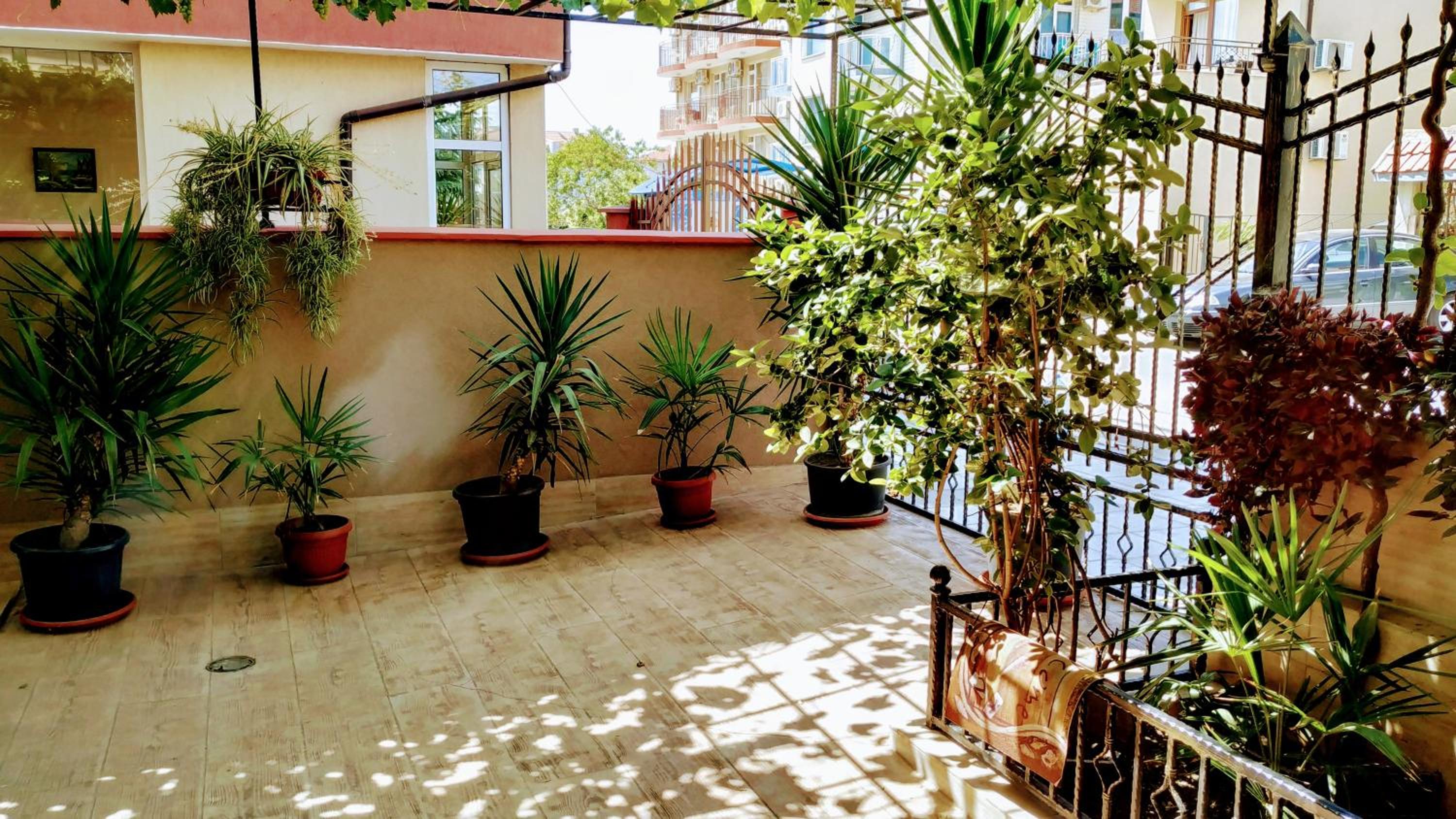 Dracena Guesthouse