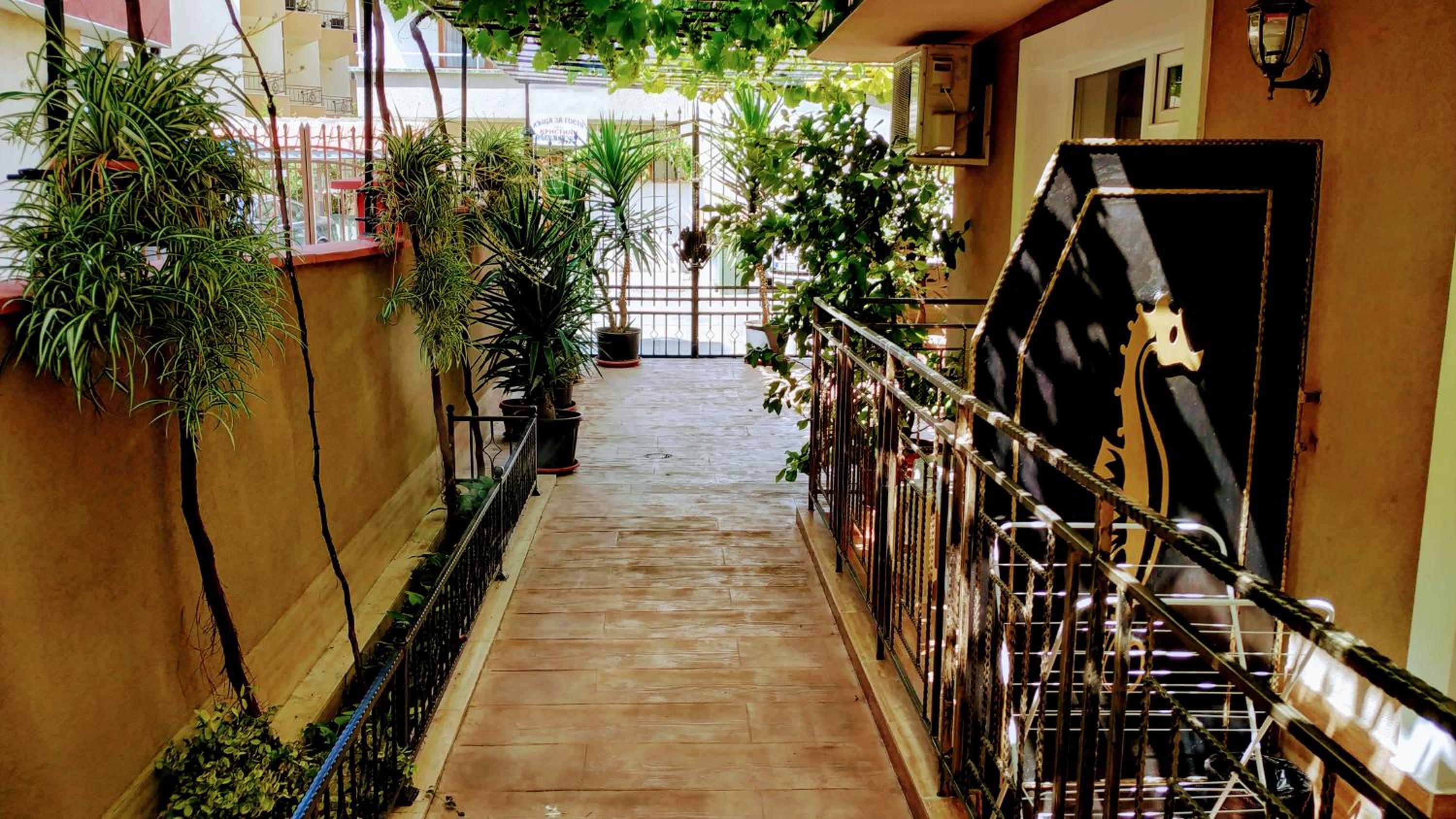 Dracena Guesthouse