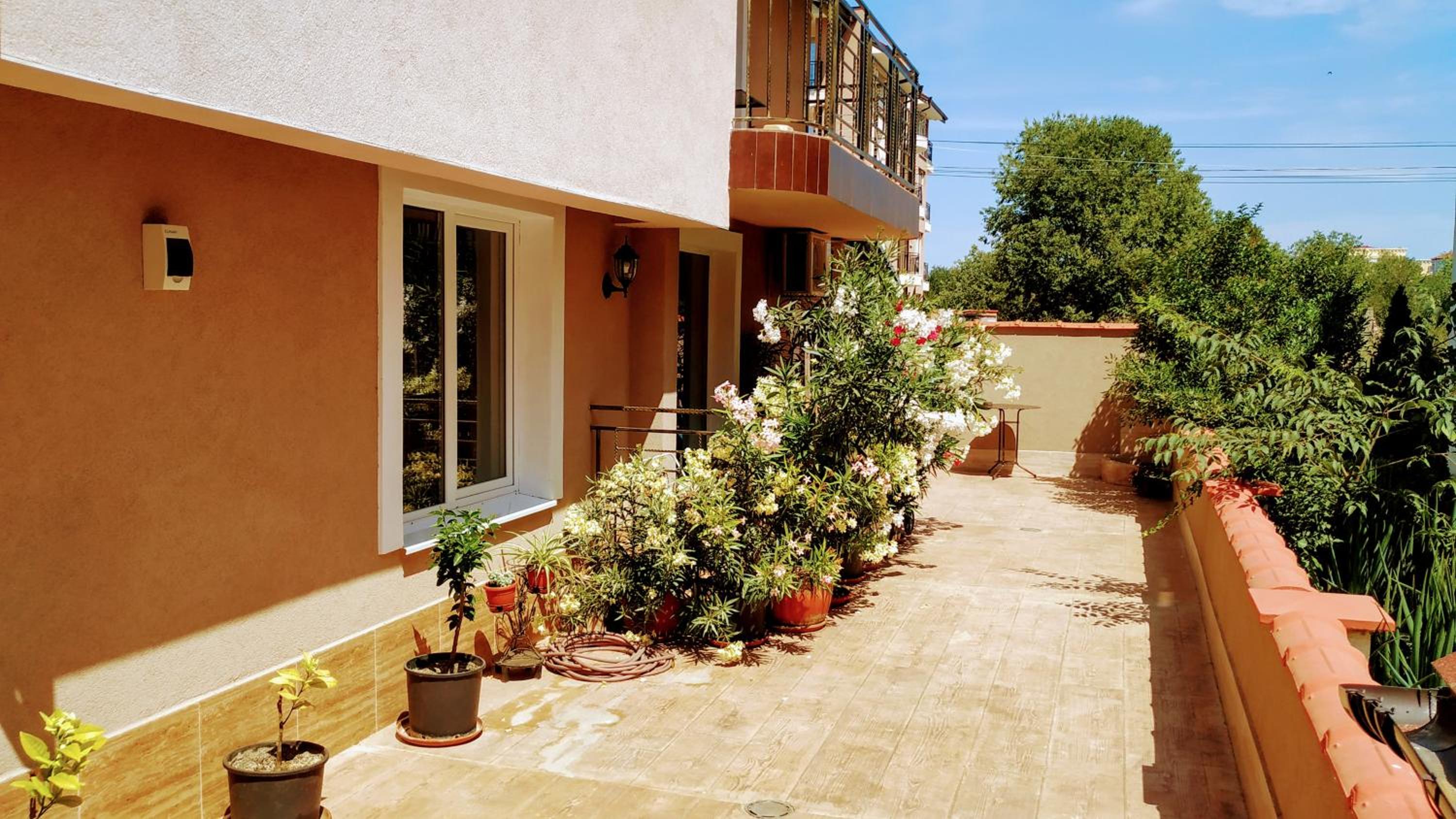 Dracena Guesthouse