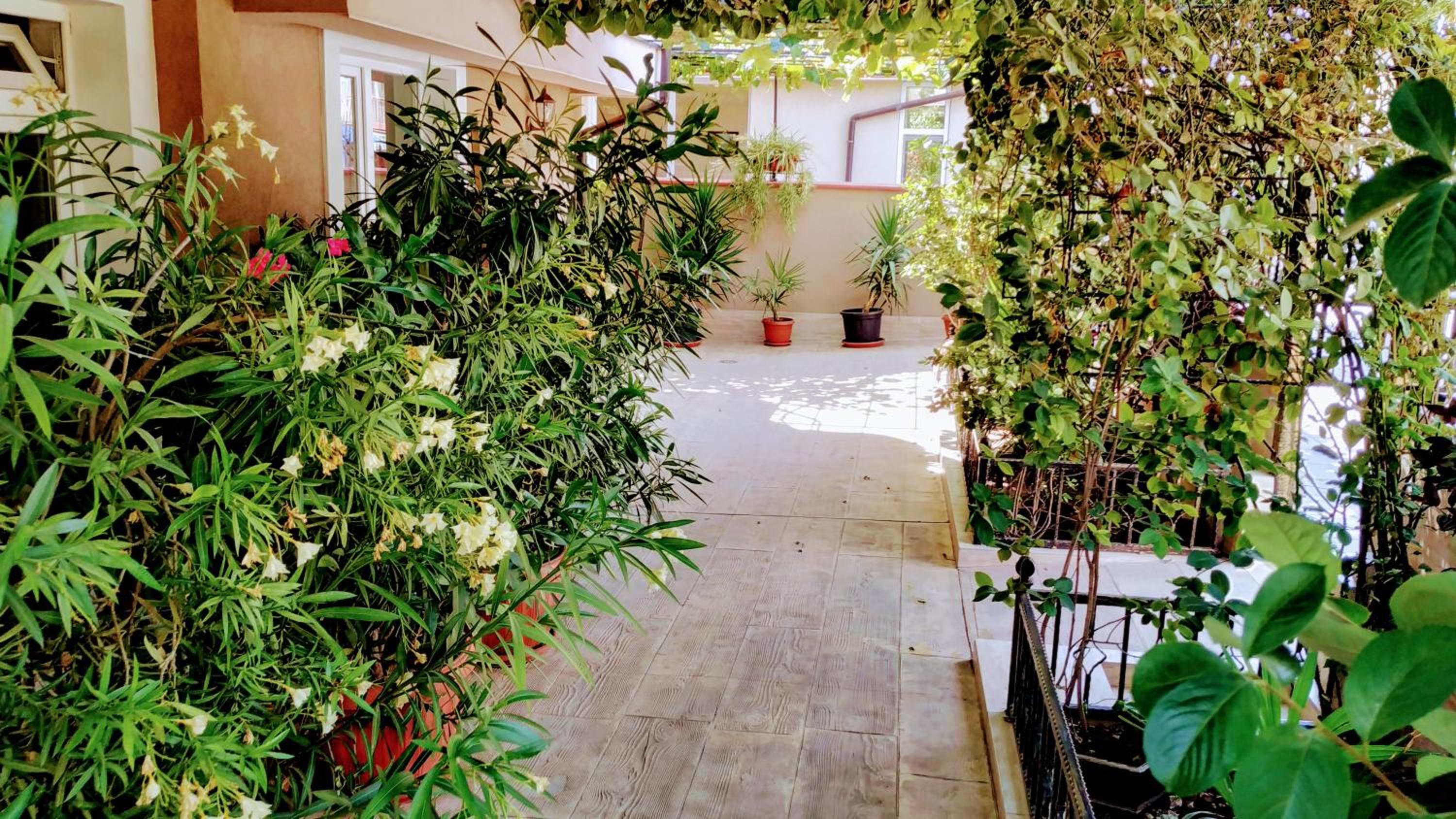 Dracena Guesthouse