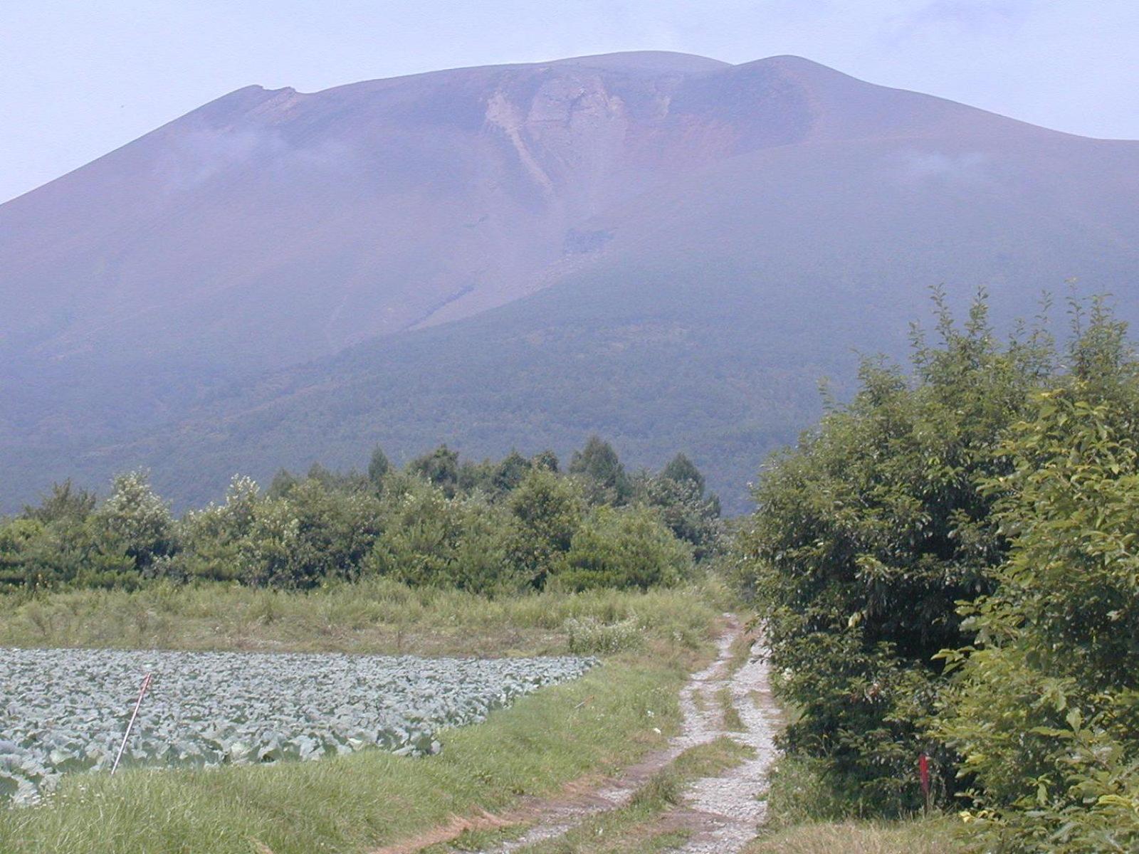 Photo 8