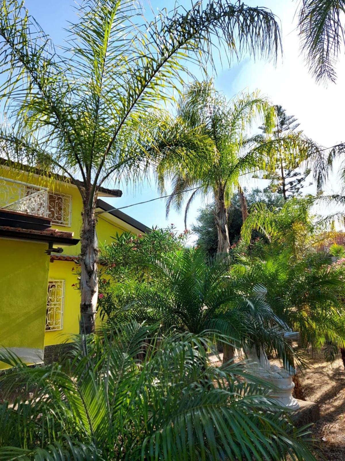 Villa Romana view 2