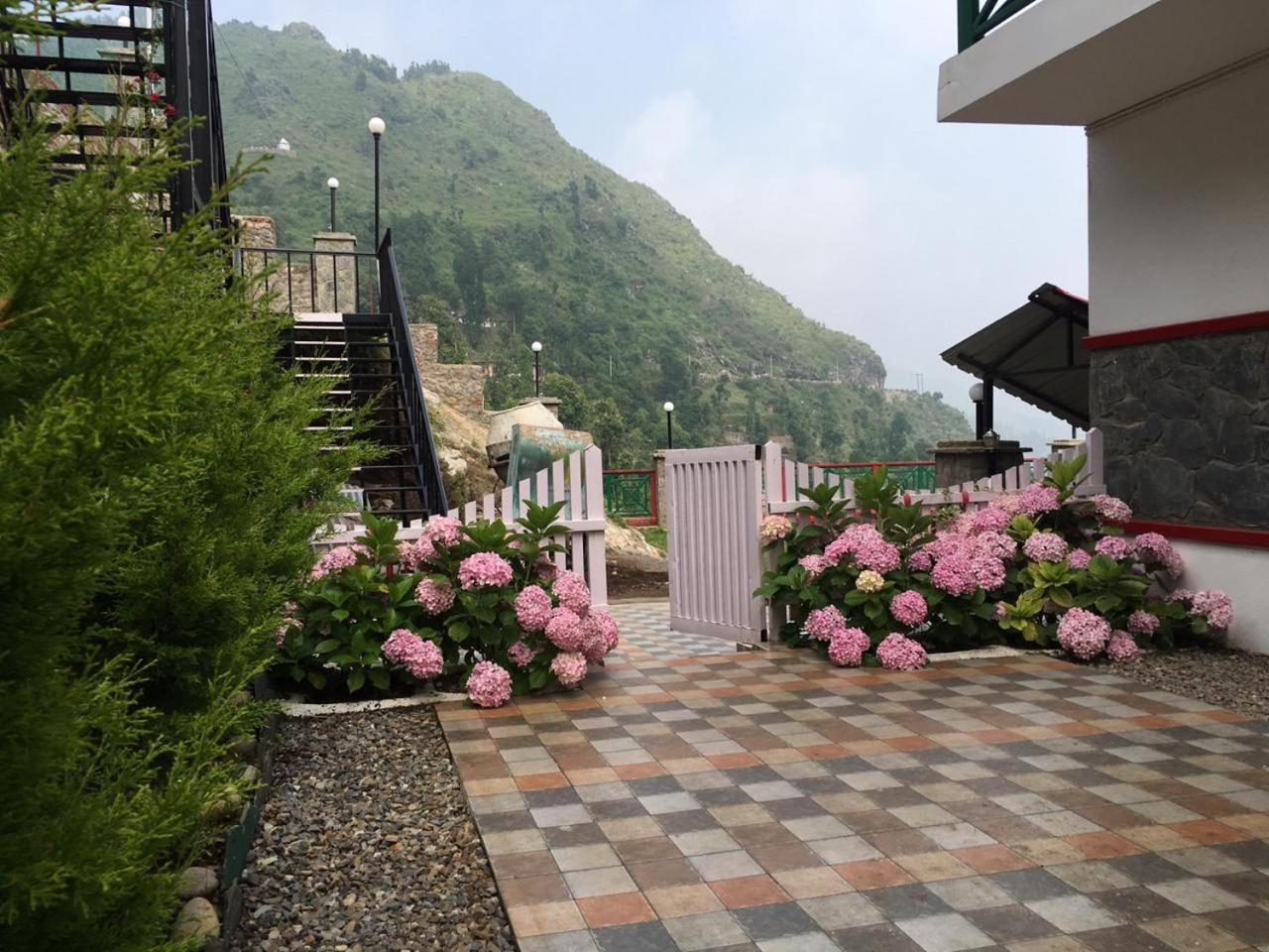 Photo 19