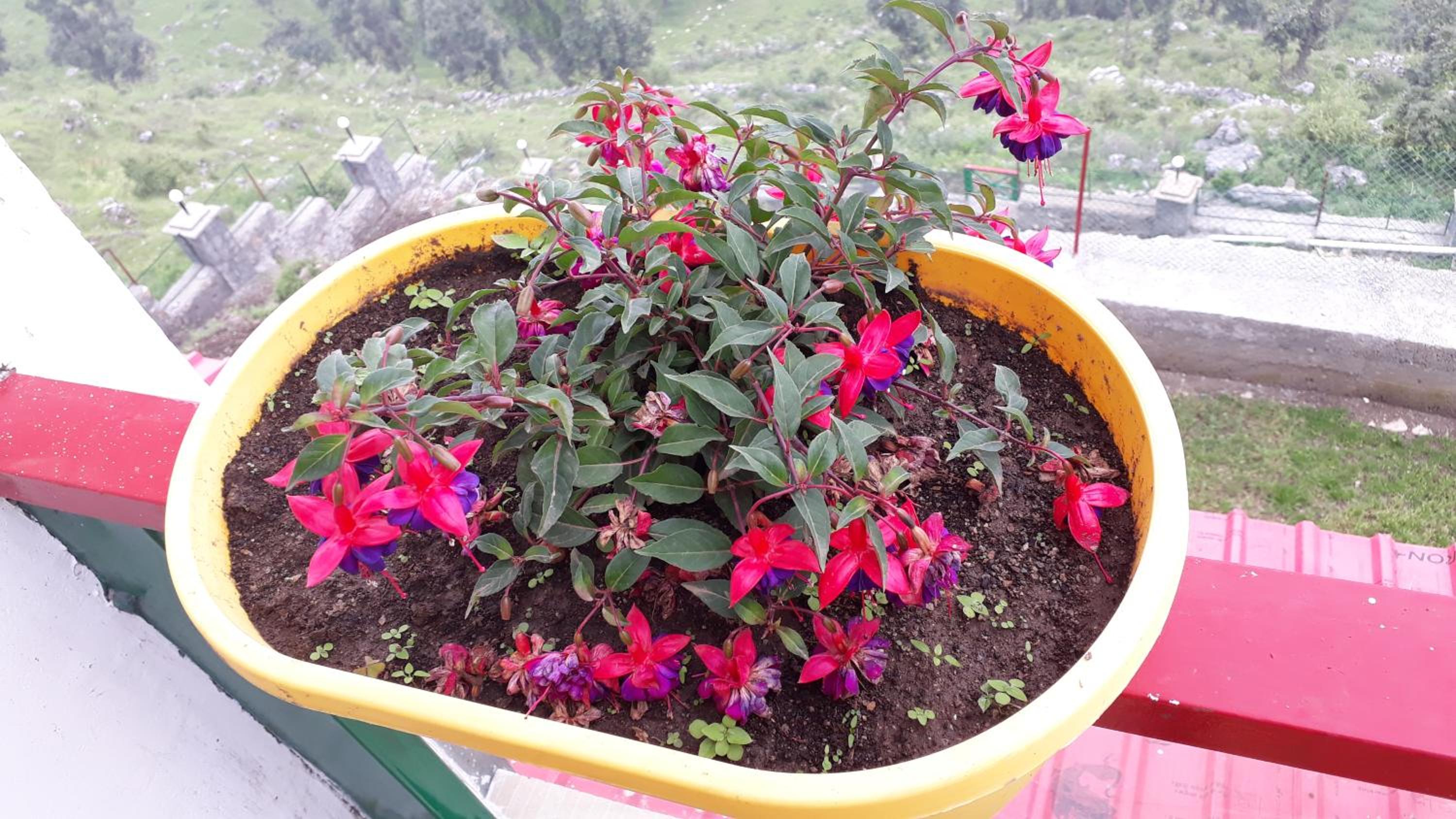 Photo 22
