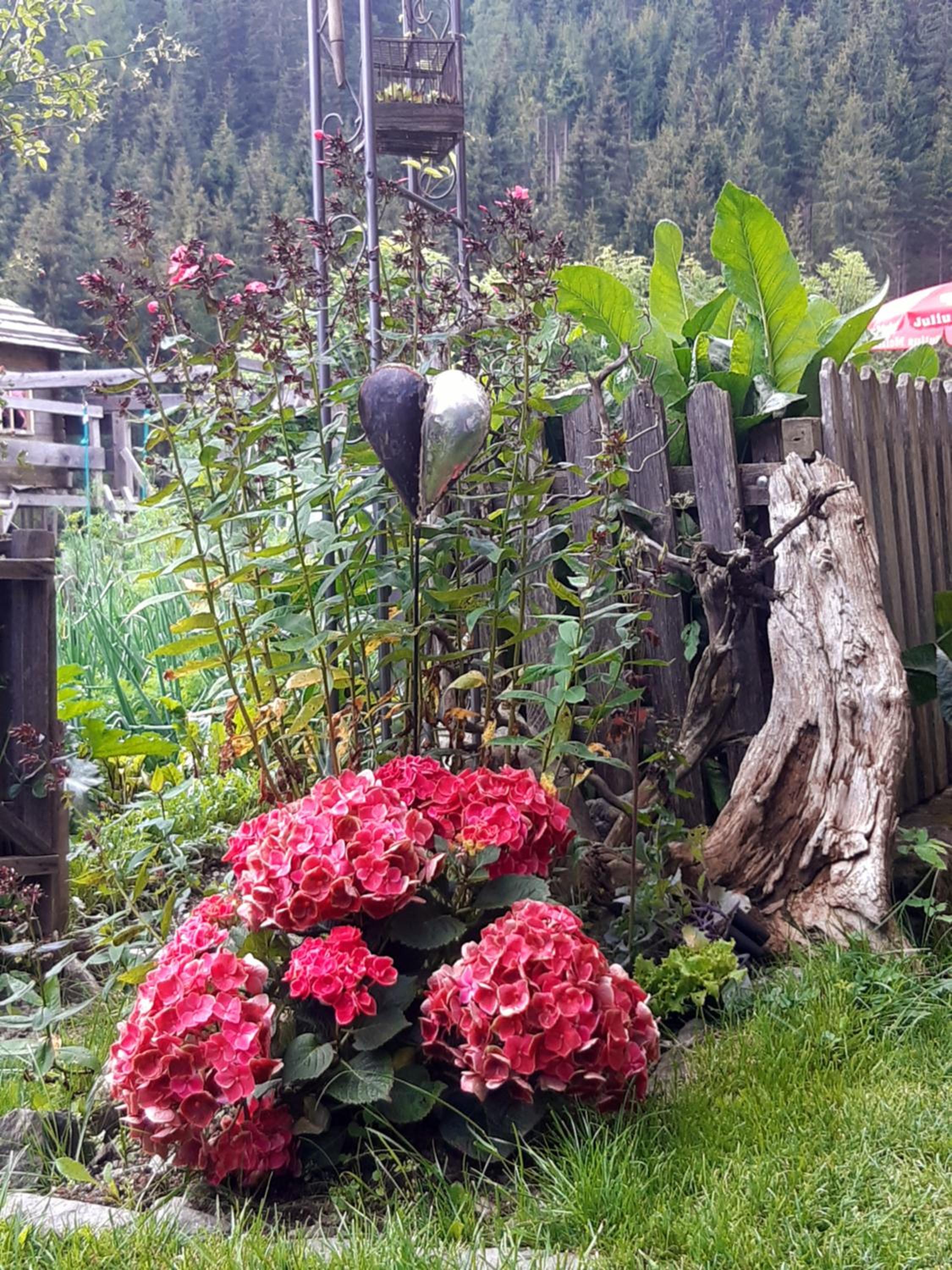 Bed & Breakfast Dolomiti Bey Haus Pinter