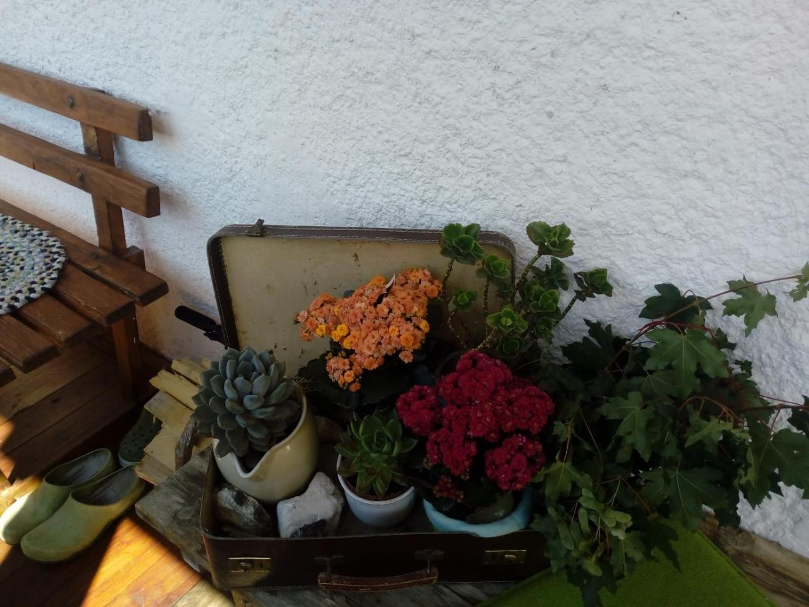 Bed & Breakfast Dolomiti Bey Haus Pinter