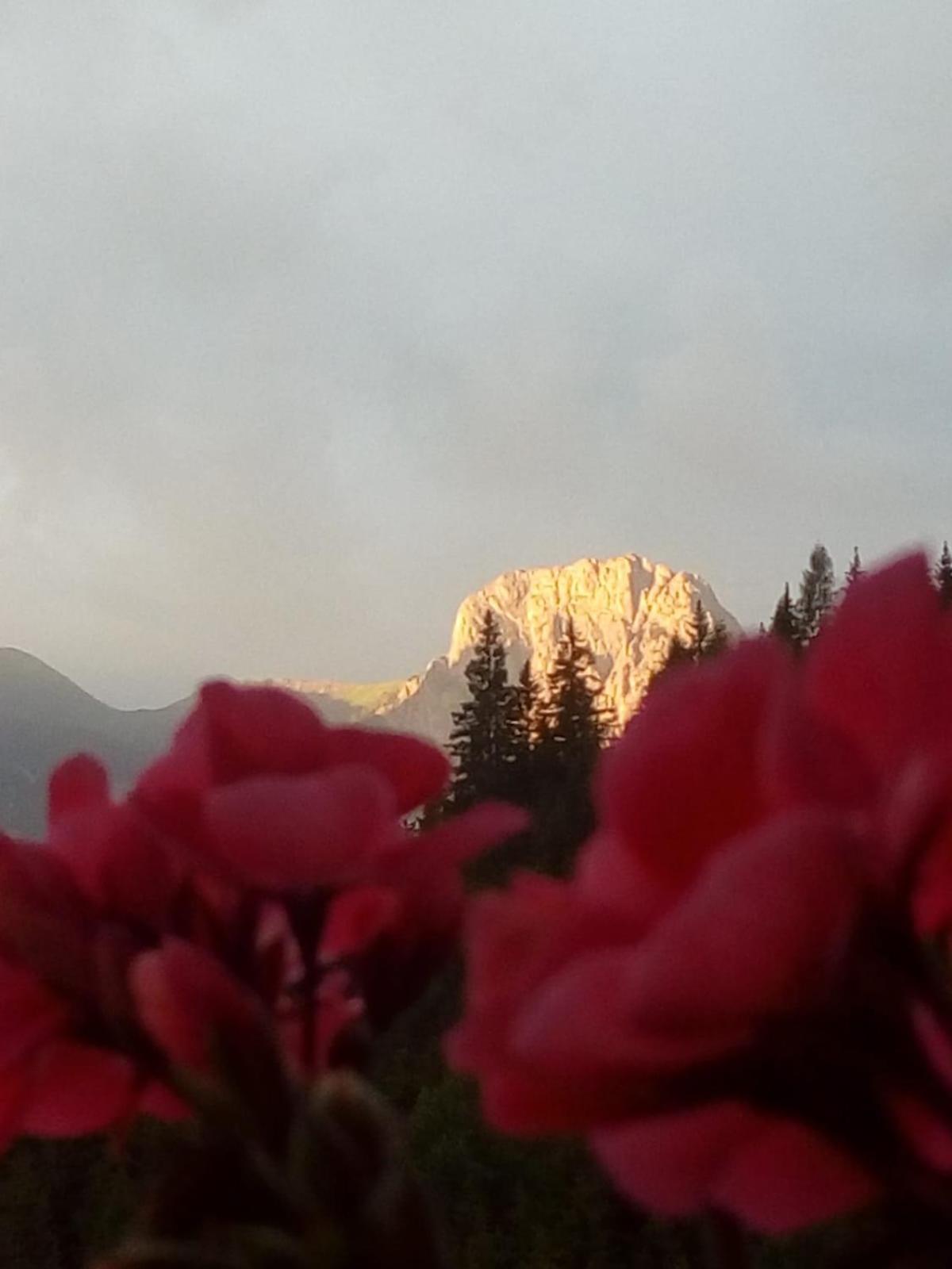 Bed & Breakfast Dolomiti Bey Haus Pinter