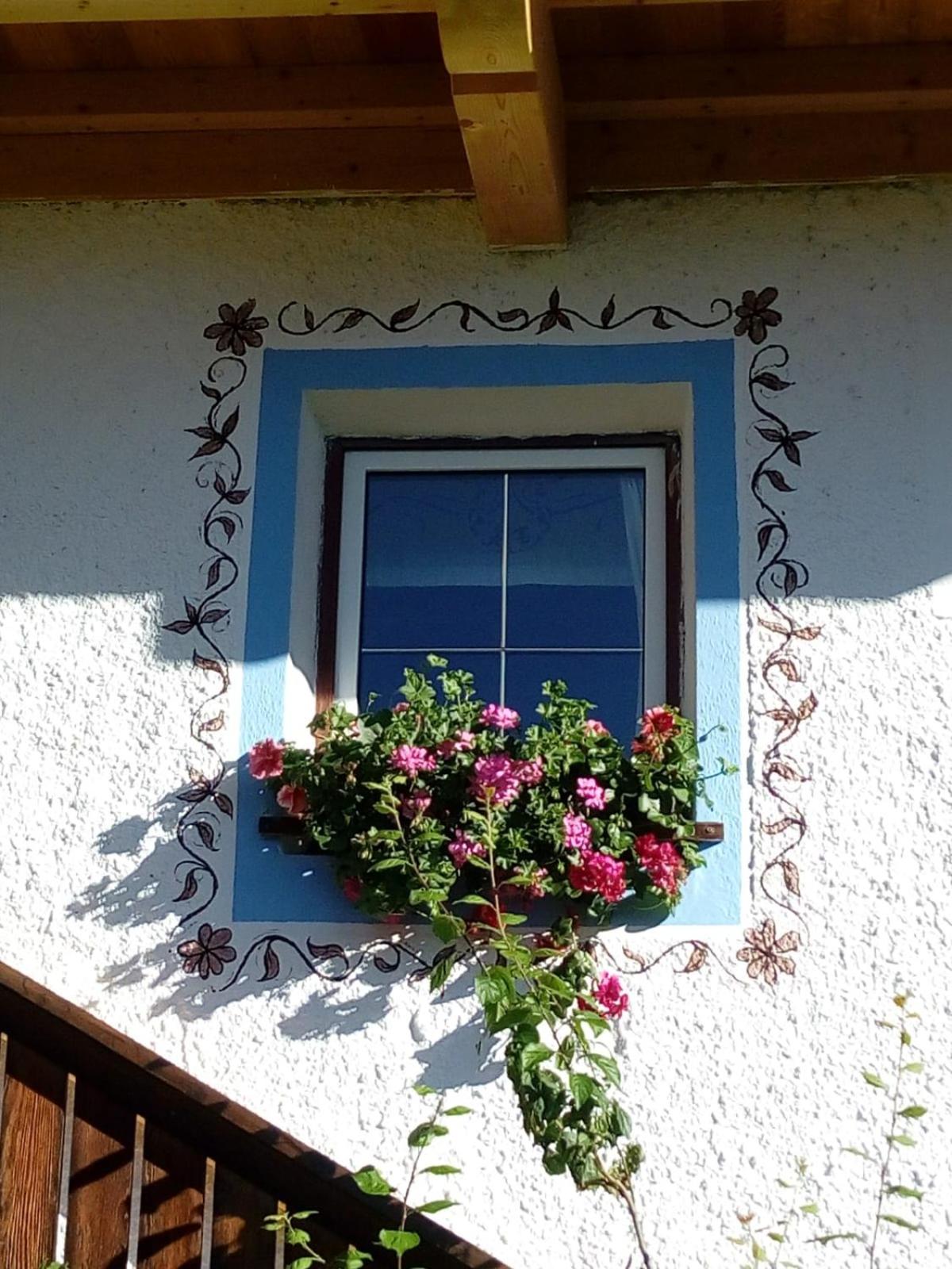 Bed & Breakfast Dolomiti Bey Haus Pinter