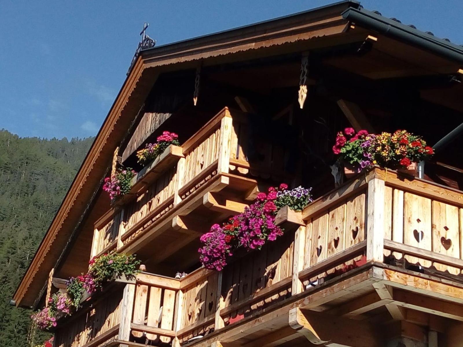 Bed & Breakfast Dolomiti Bey Haus Pinter