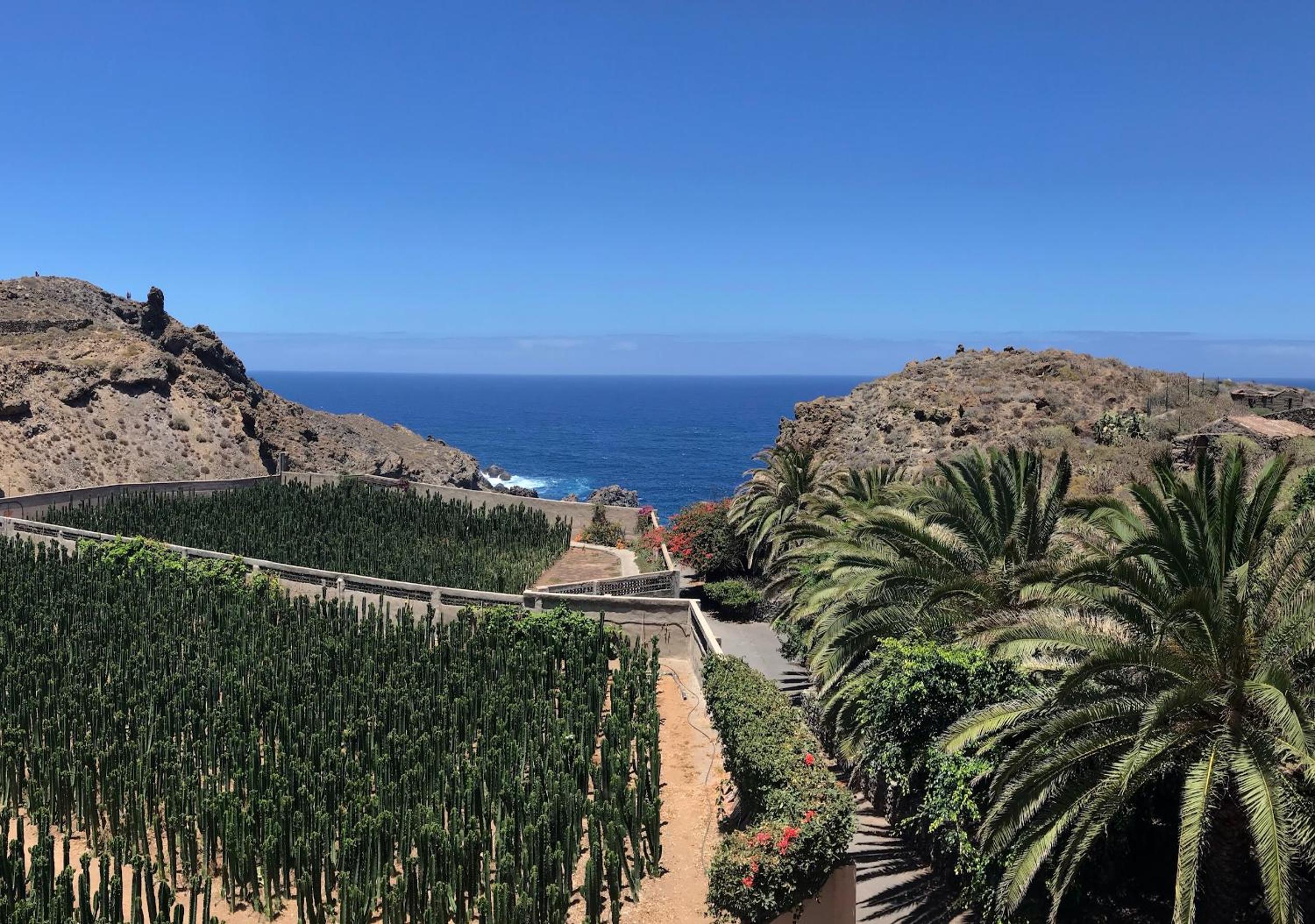 Finca La Punta photo 2