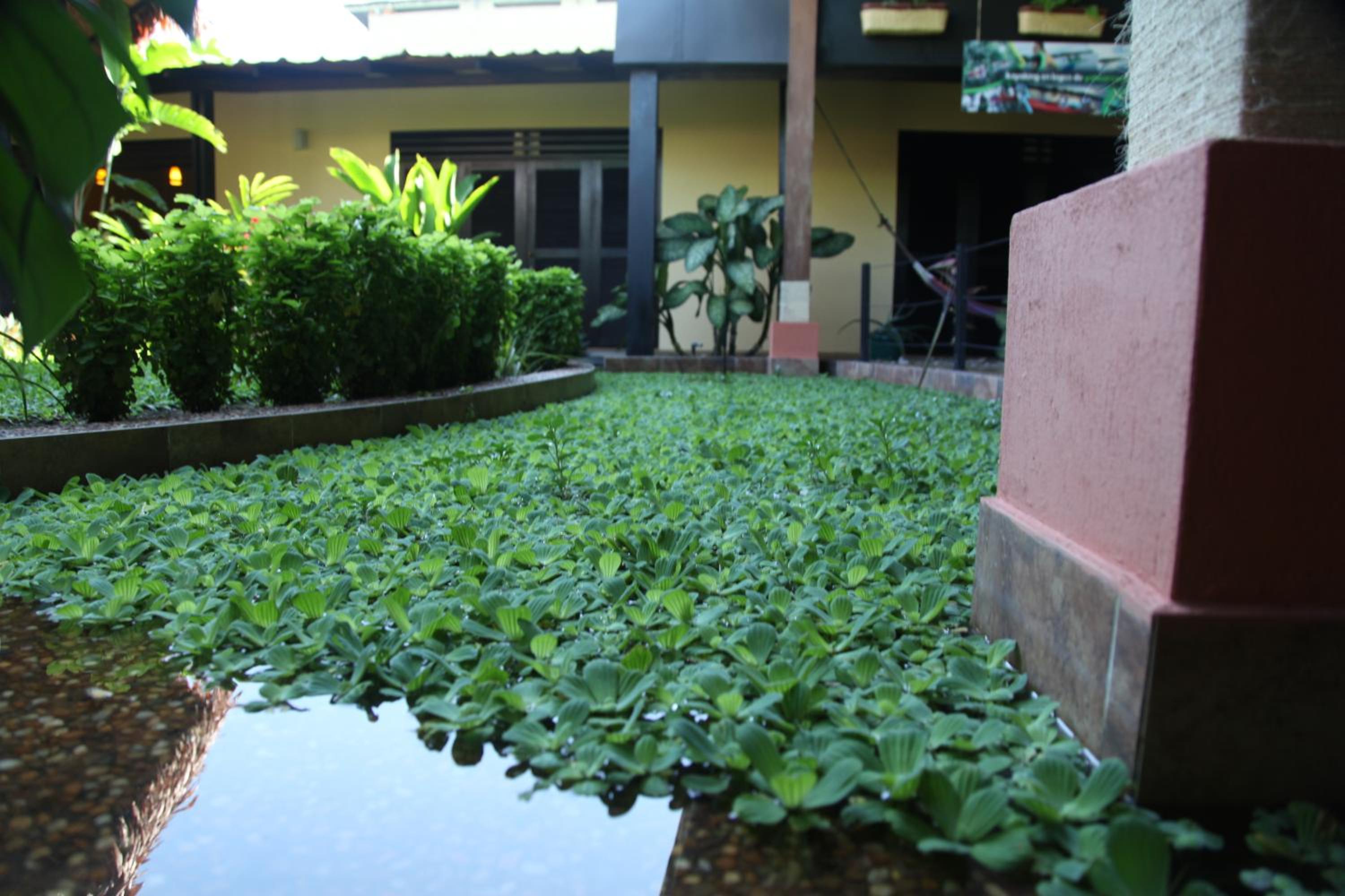 Photo 28