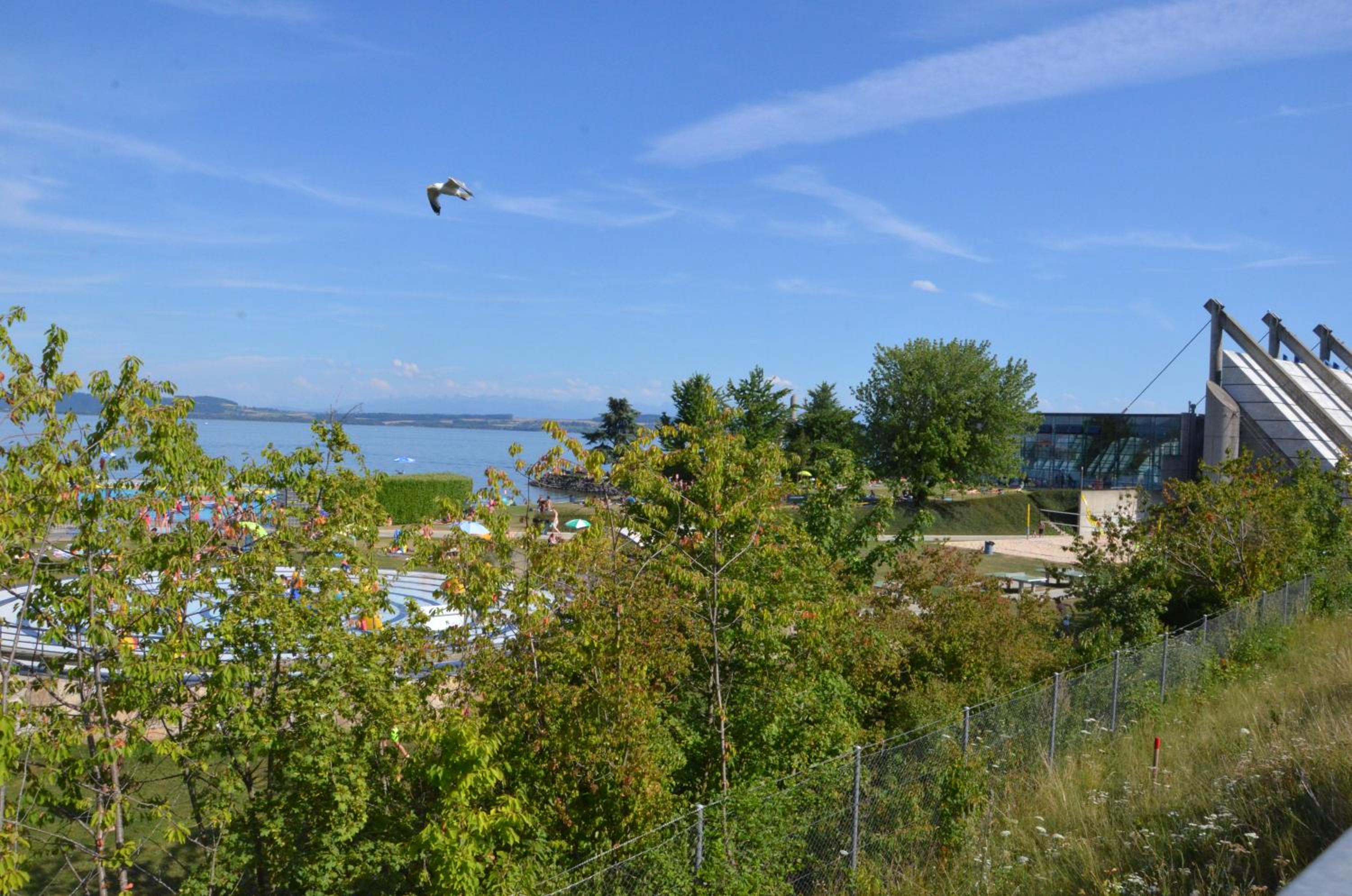 Appartements Vacances Saars 33 view 5