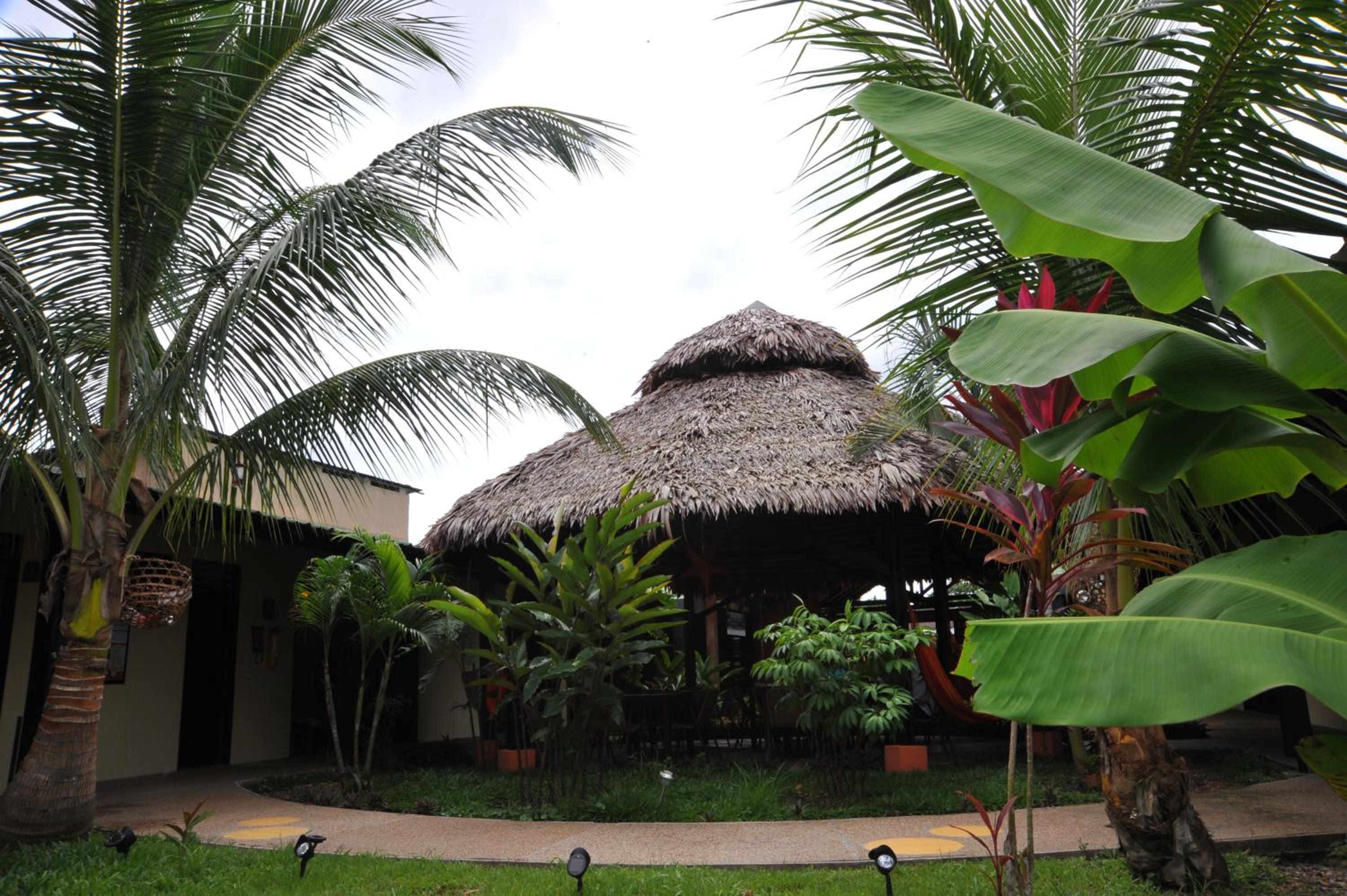 Photo 21